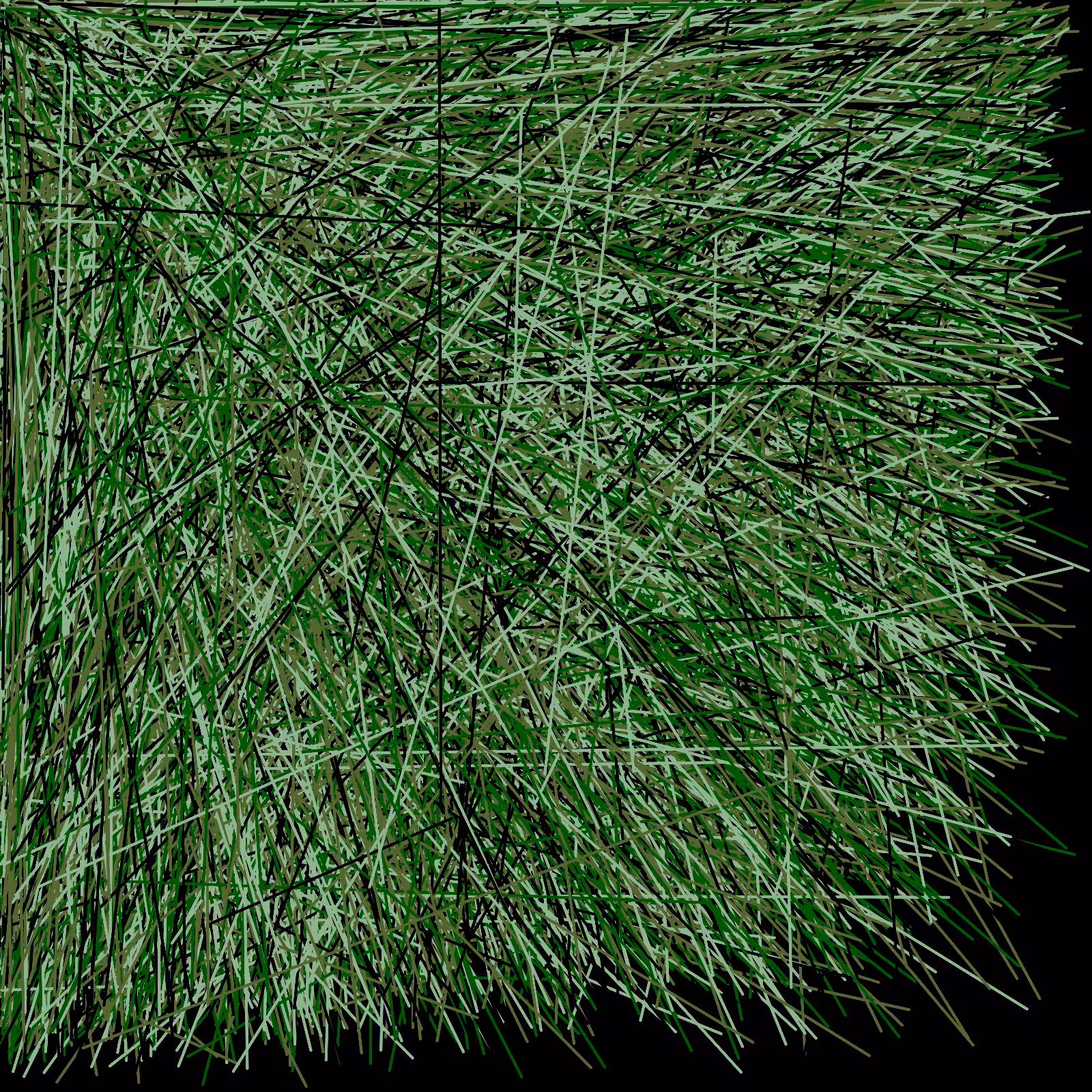 Spun Lines #53