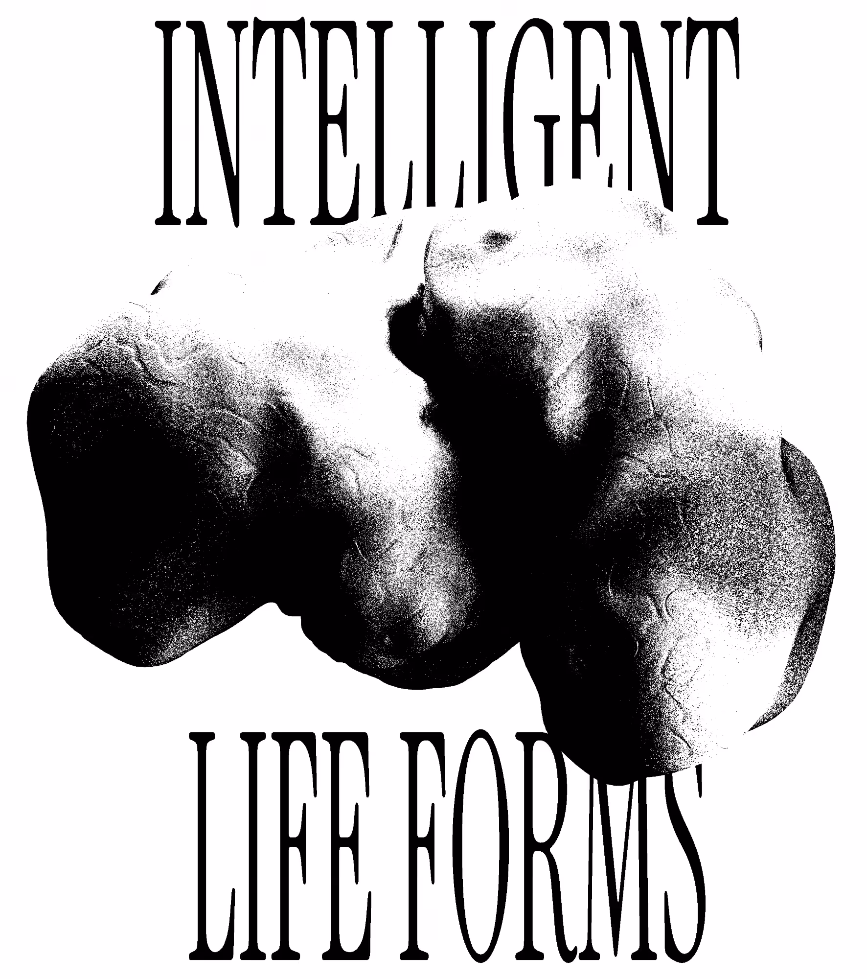 intelligent life forms