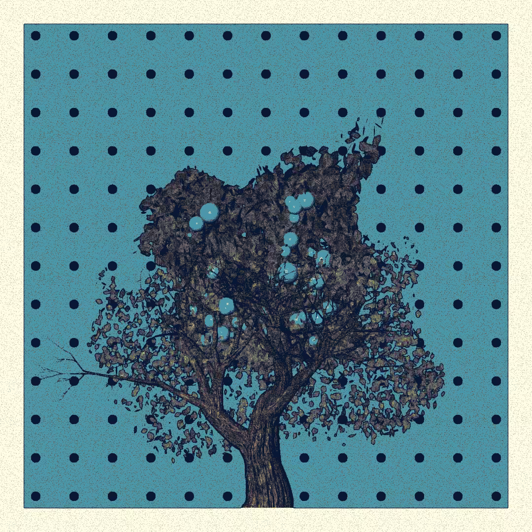 _argania[primaria] #277