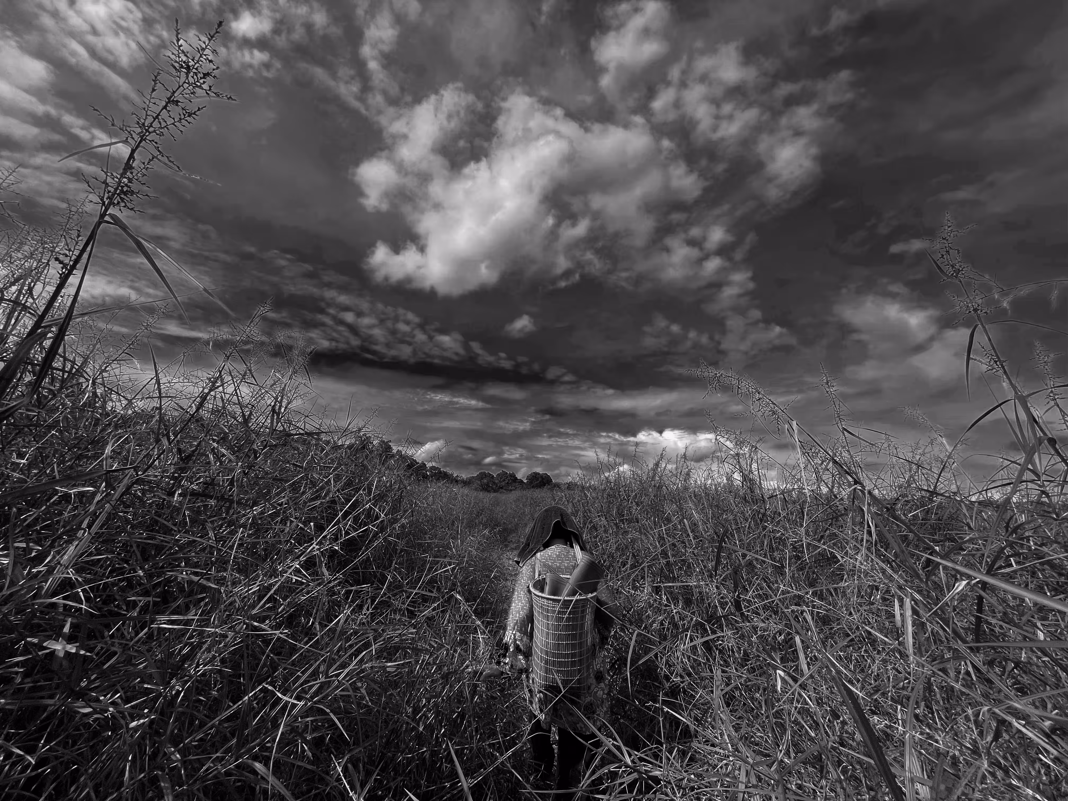 Walking Between Memory and Loss