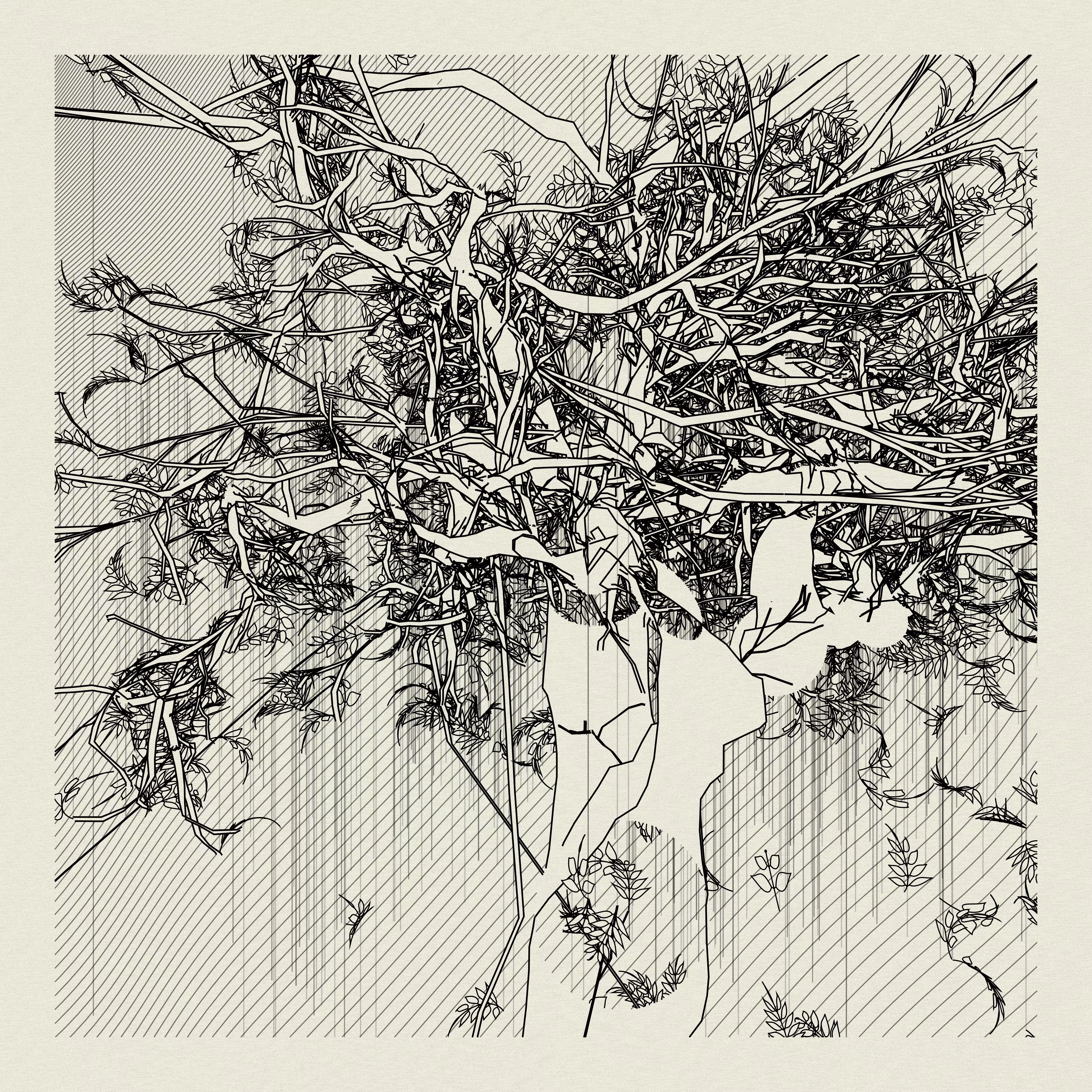 A Bugged Forest #356