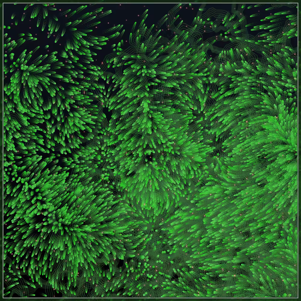 Tezbloom in ocean #24