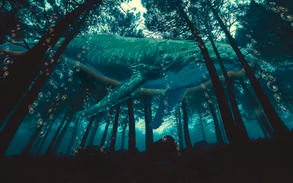 Forest Music Whale