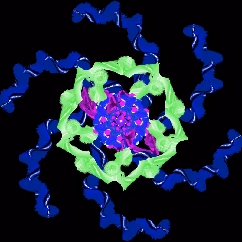 char-mandala #16