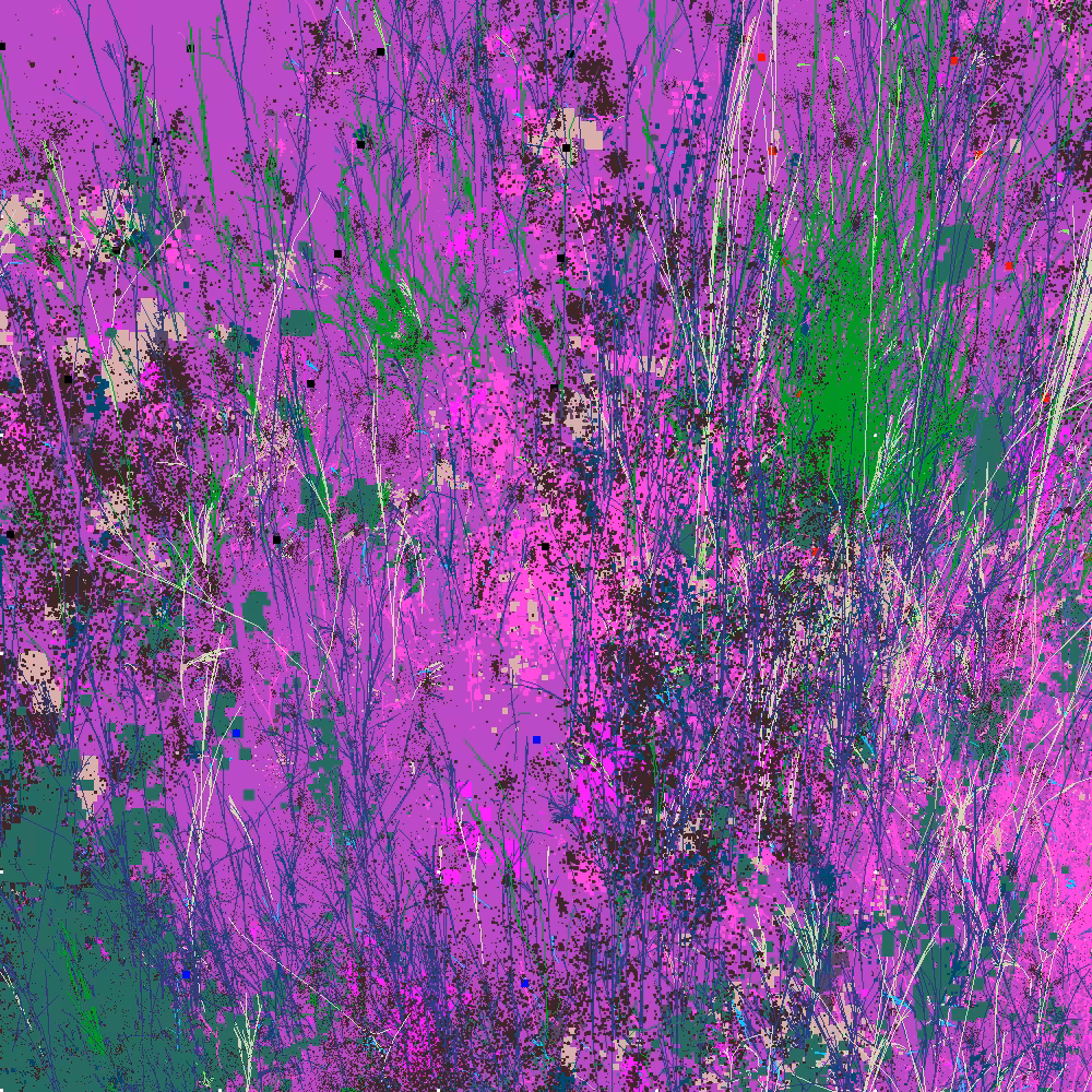 Infinite Garden: 75043 Flowers
