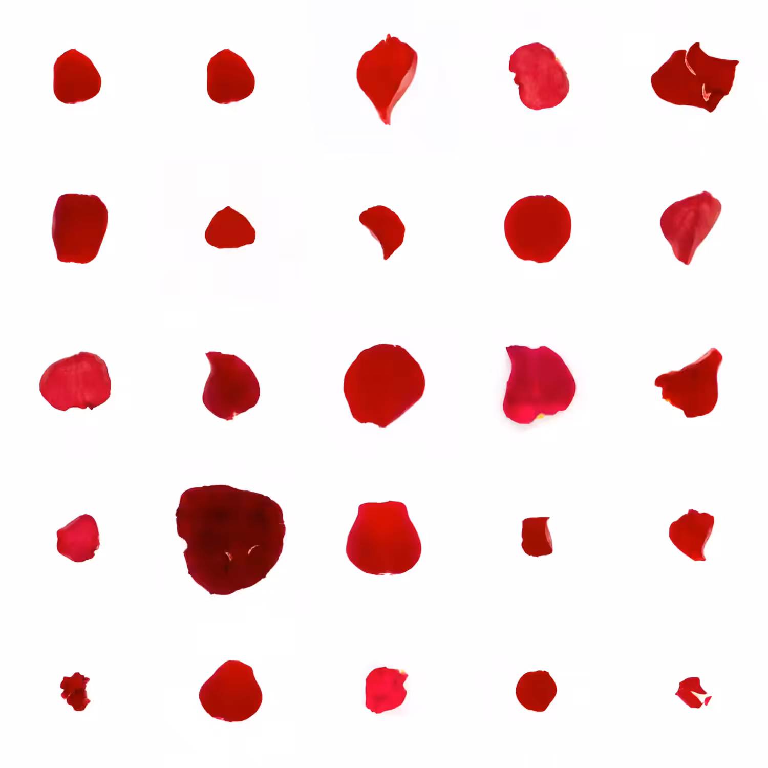 Infinite Petals 5x5#20144