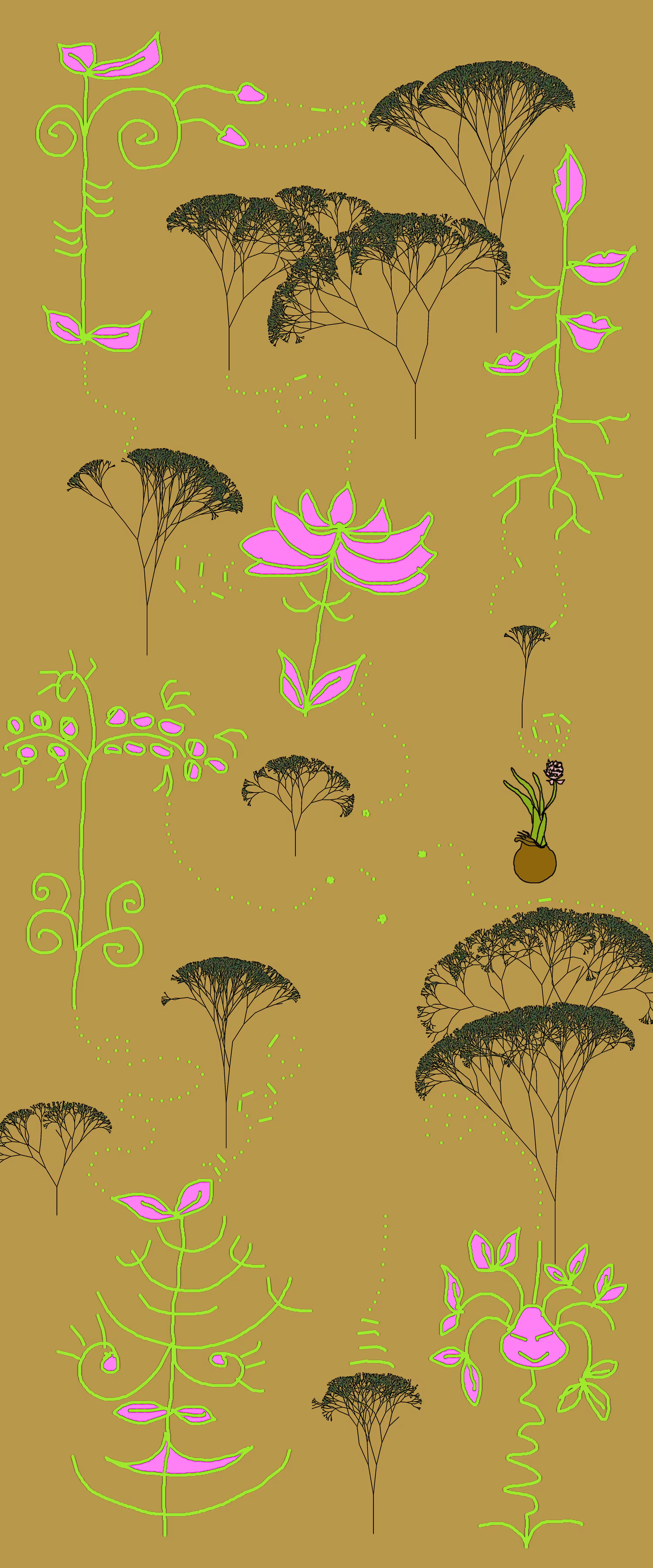 Allium Sativum