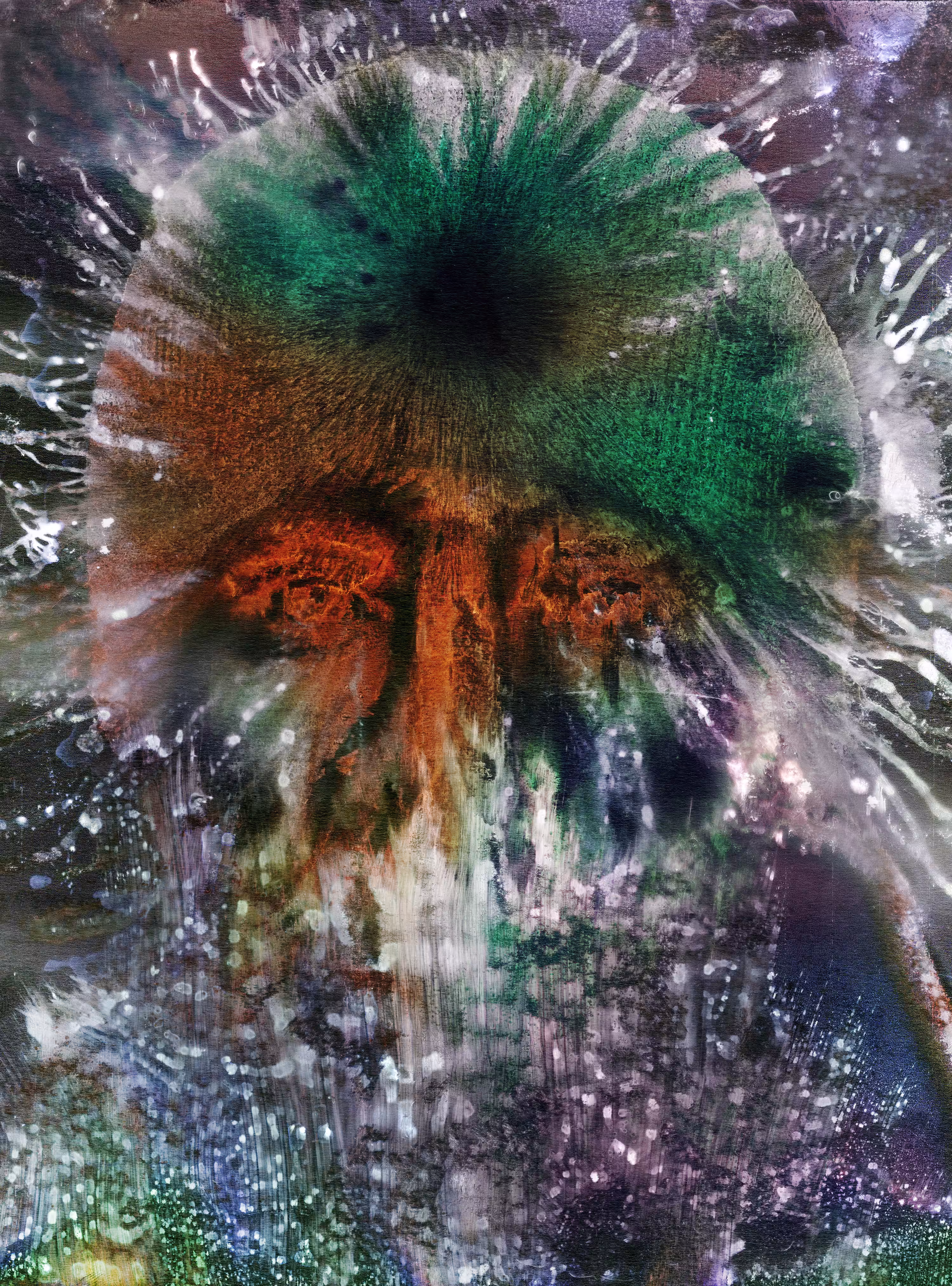 The Observer