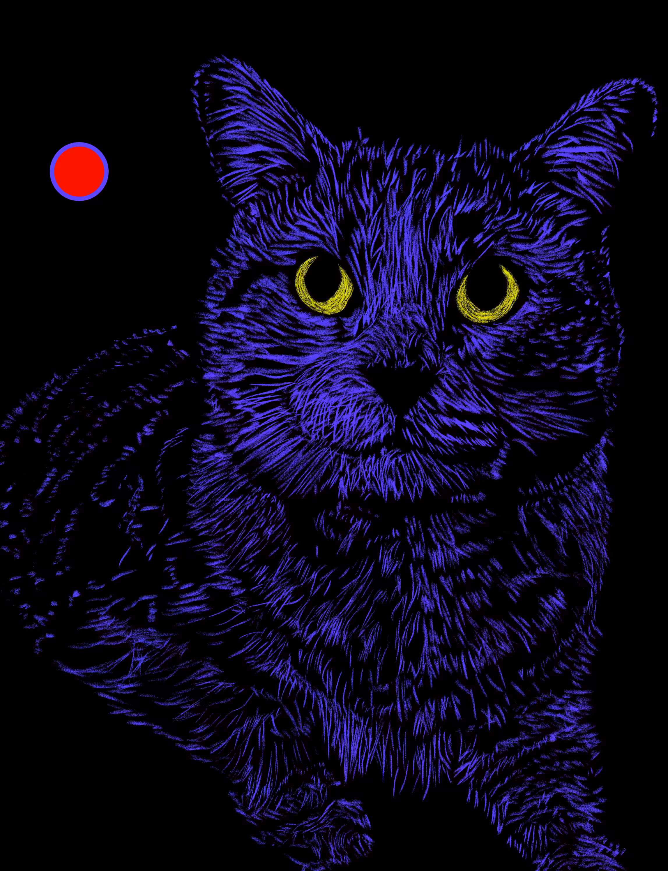 Queen Kittie