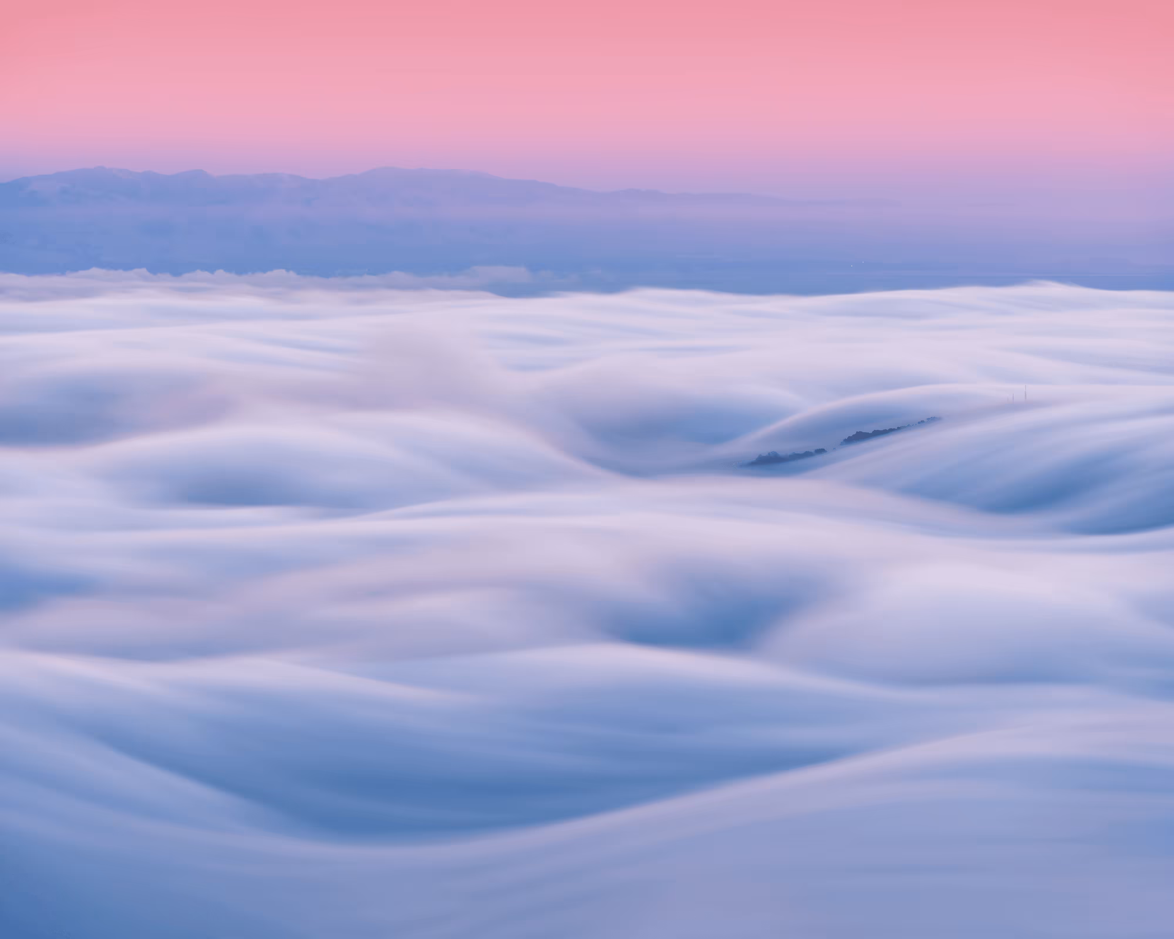 A Symphony of Fog #8