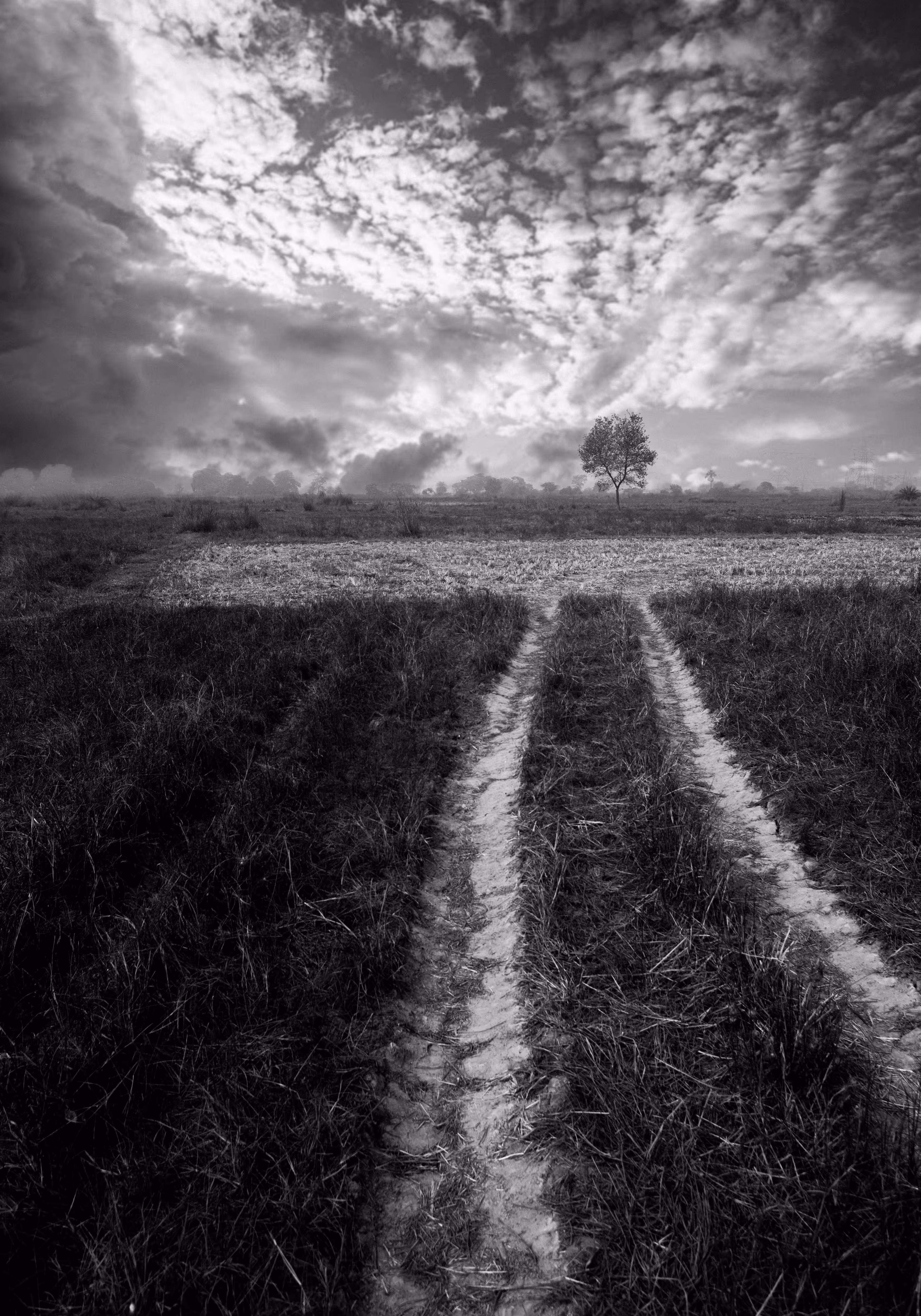 Lead me to the Horizon