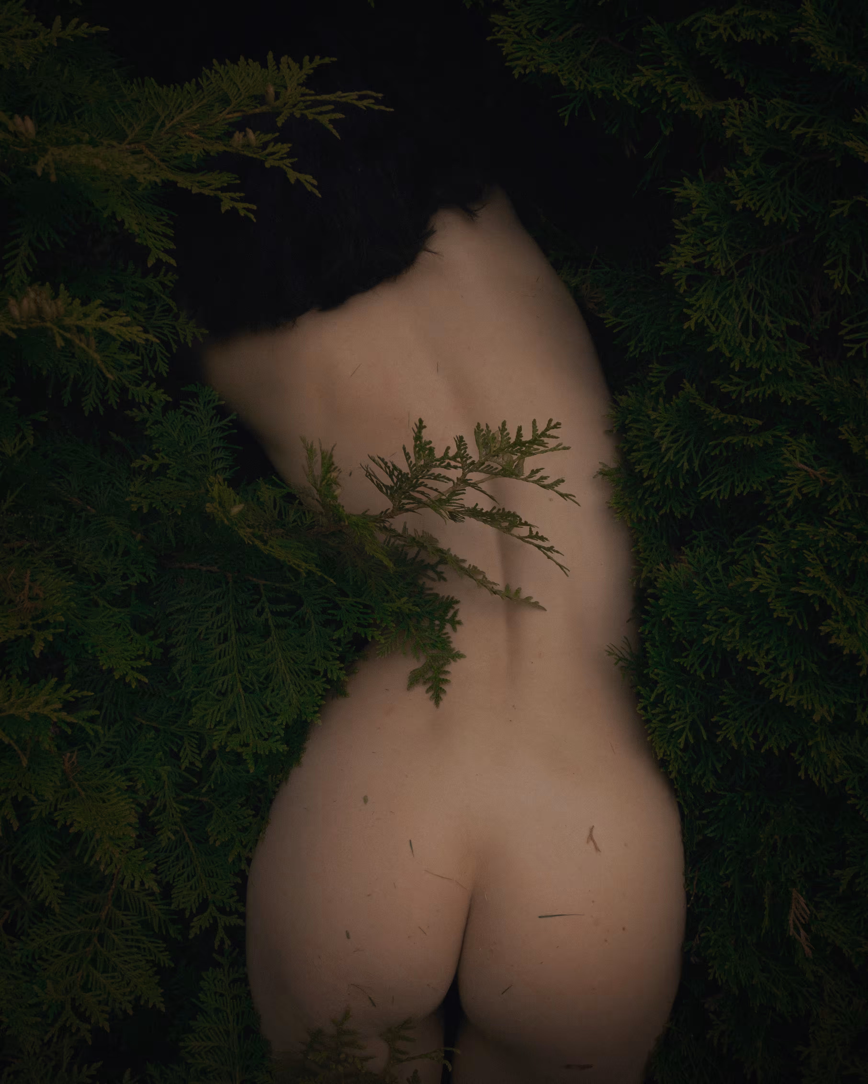 Dissolve Me
