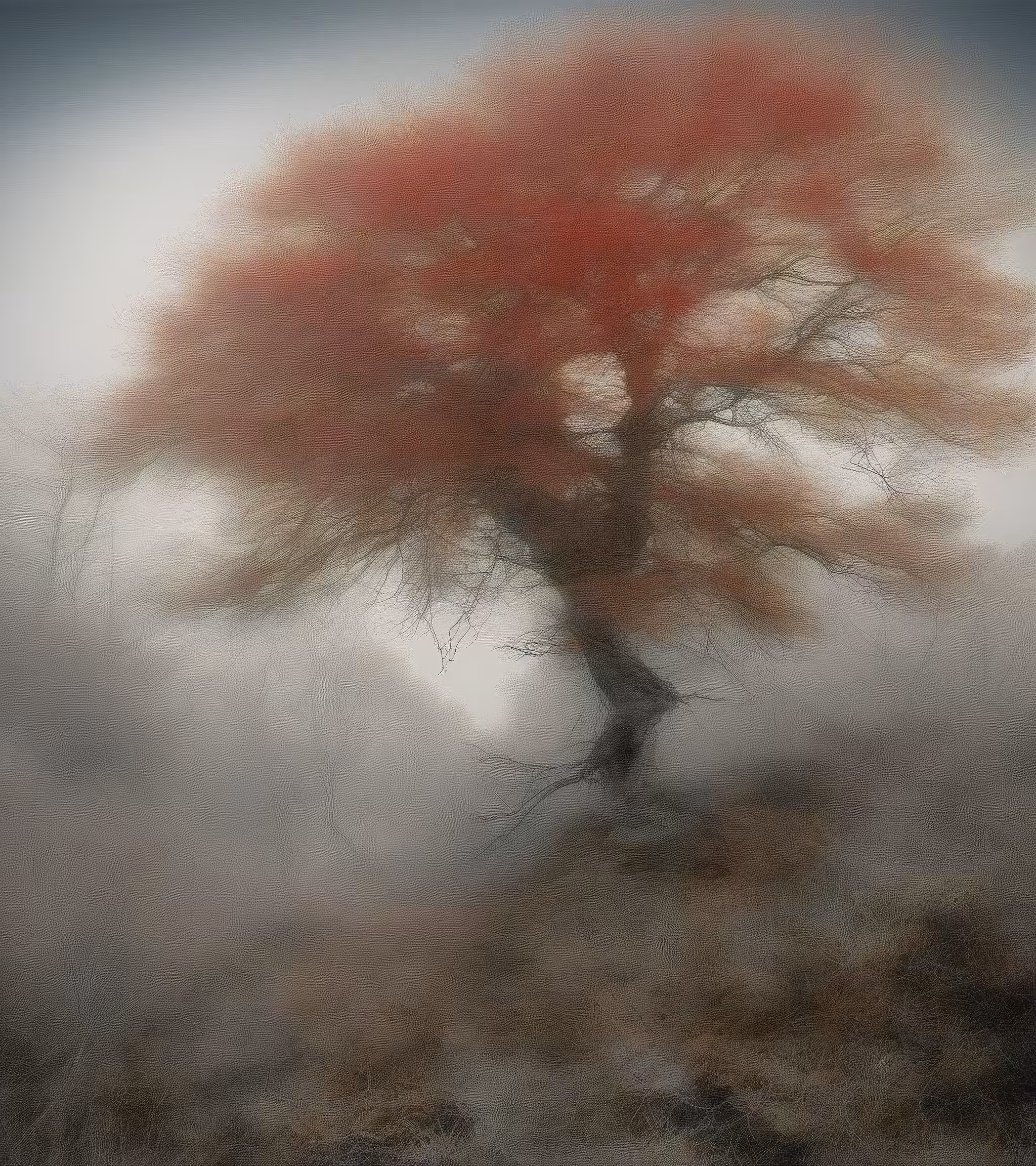 Tree Studies #30