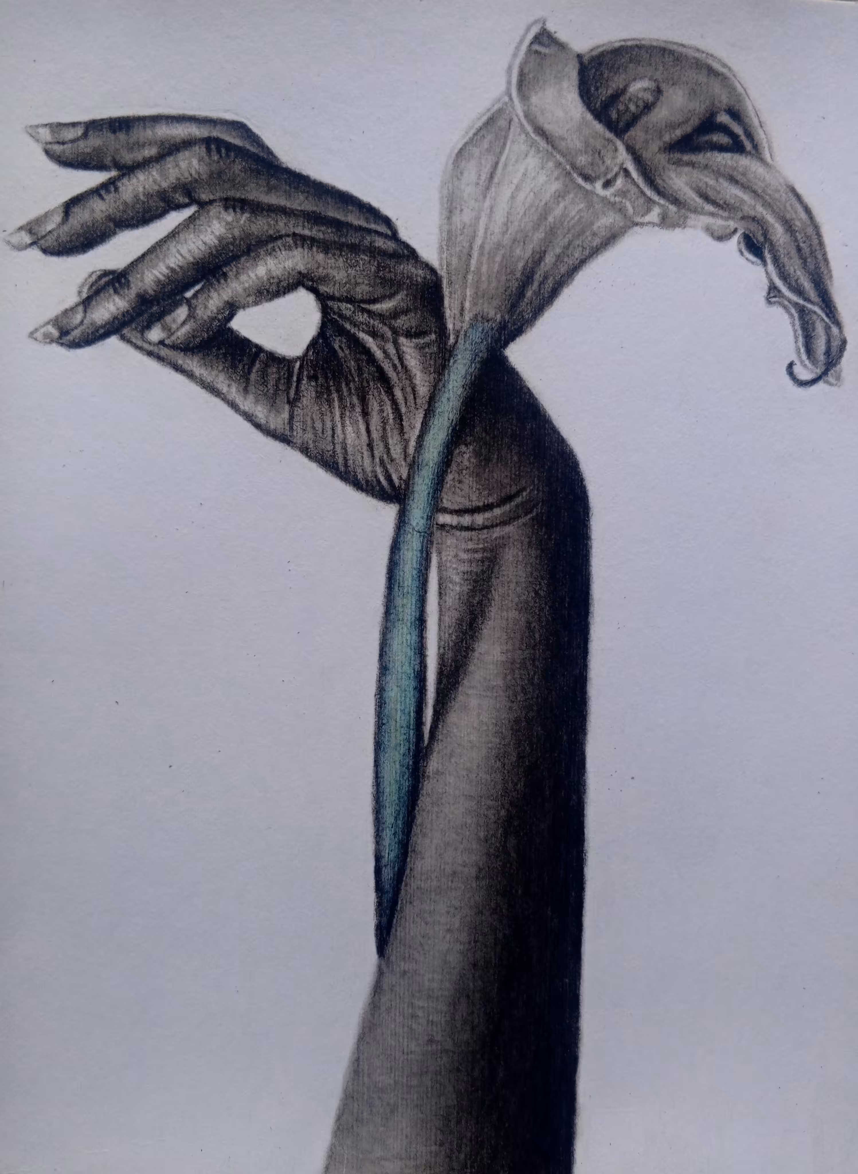 SYMBOL OF HOPE 2
