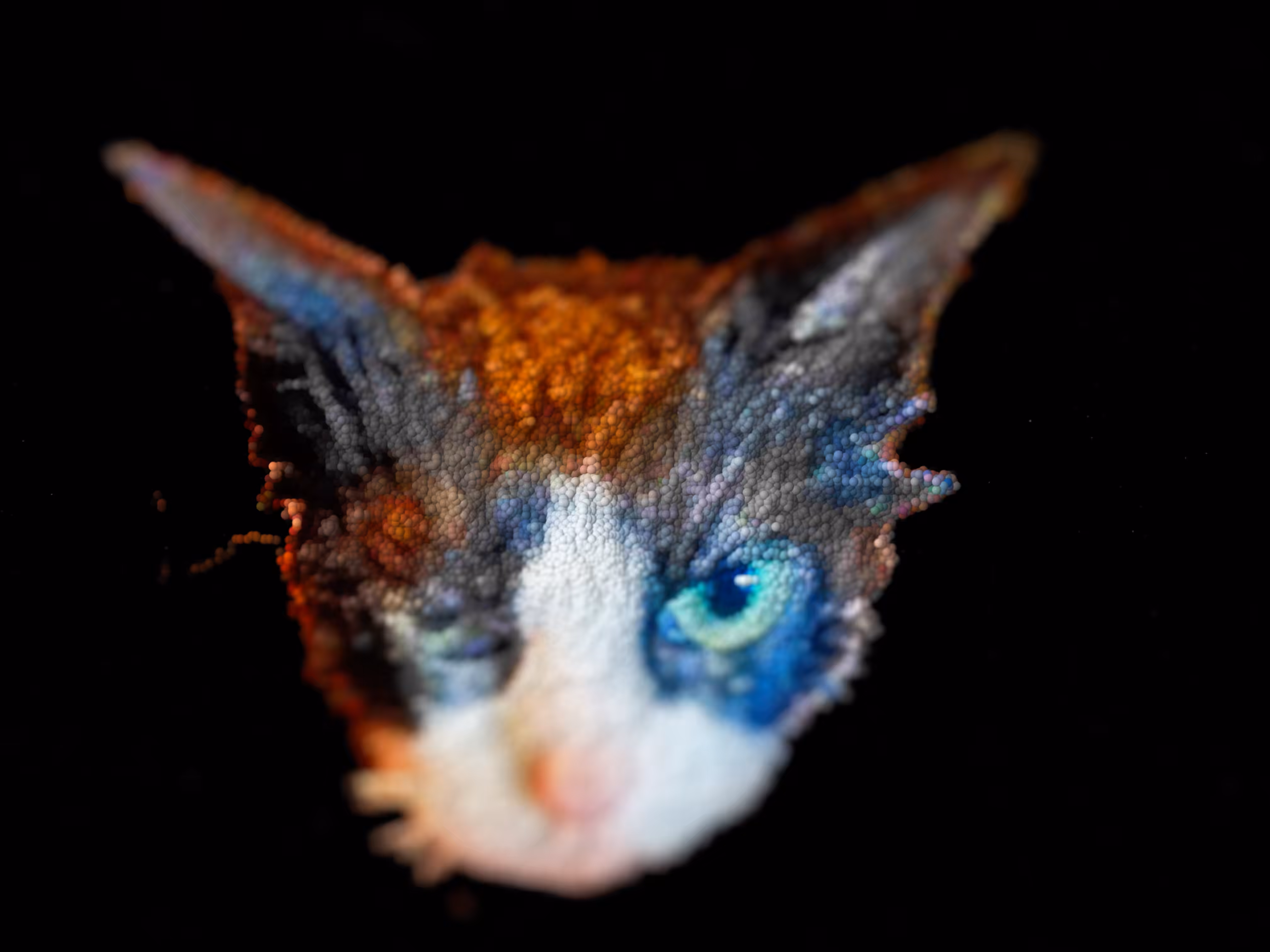 cold stare