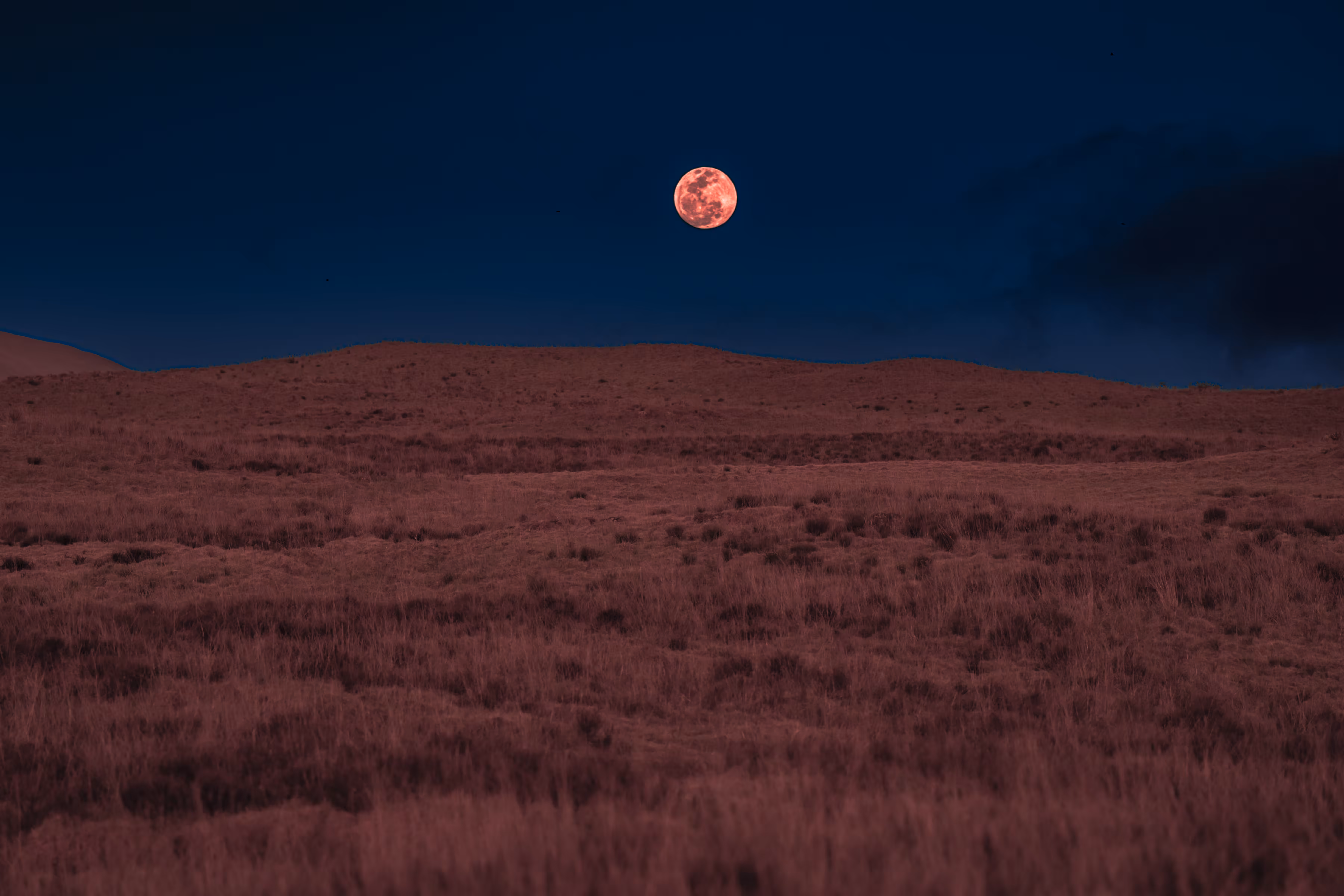 Pink Full Moon Rise