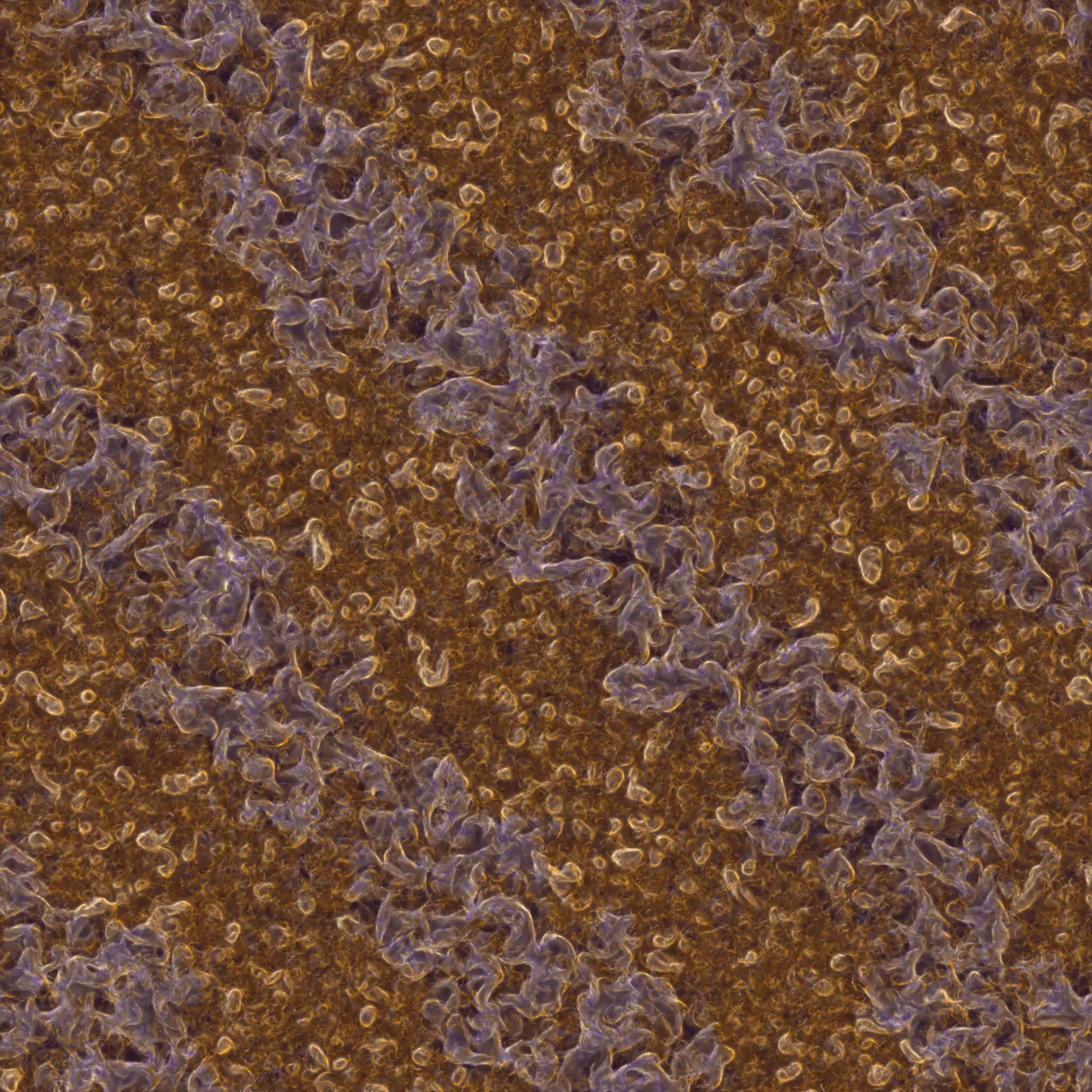 saprophyte #209