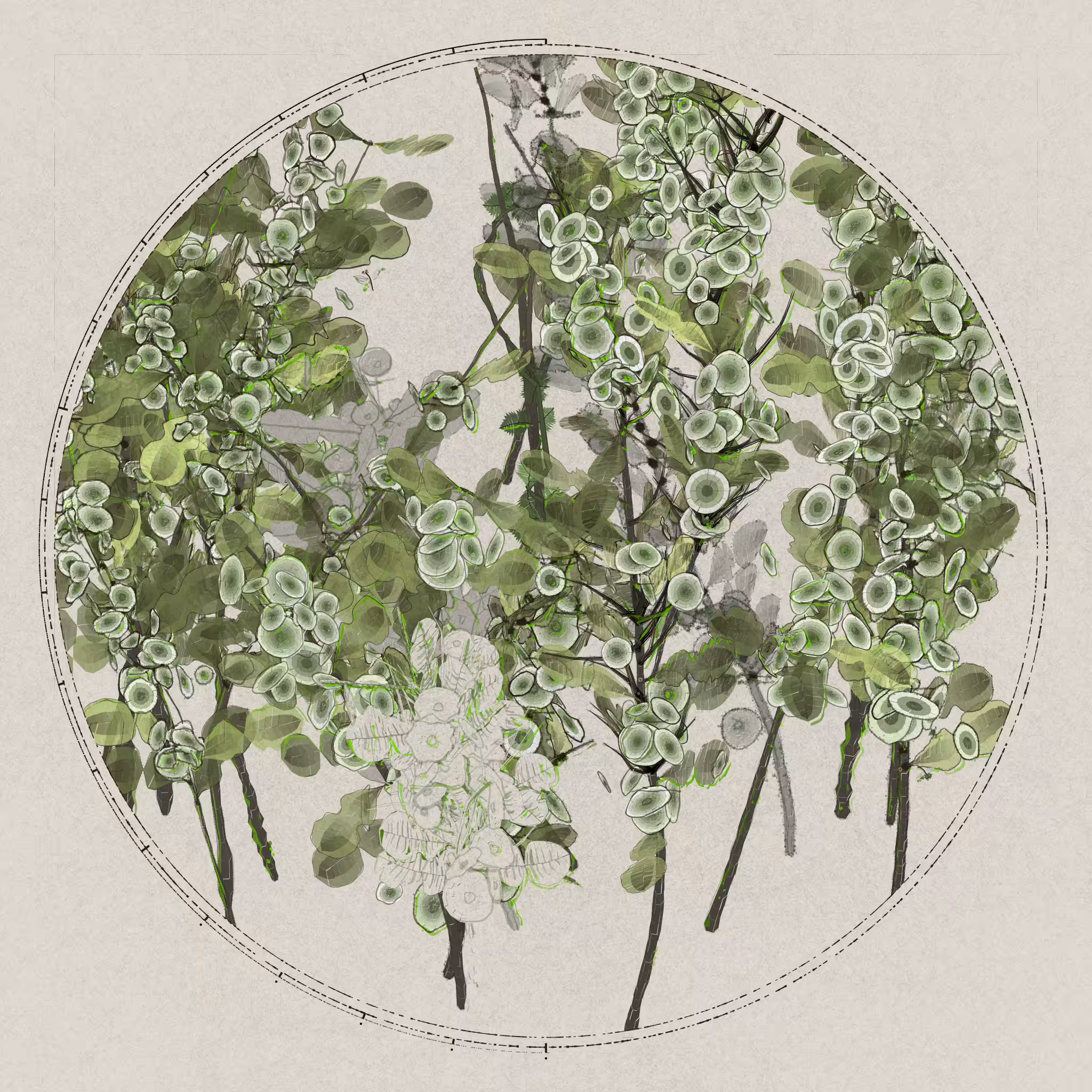 Polypaths |  植徑集: Polypaths | 植徑集 #185