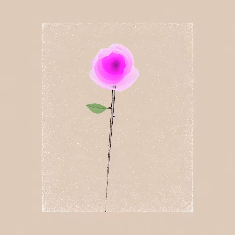 Magnolia #85