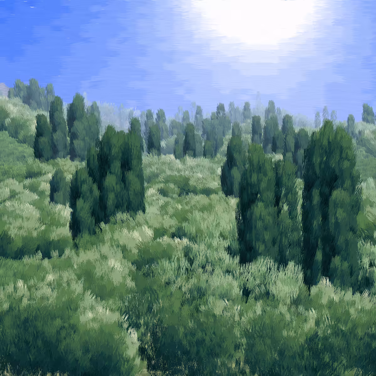 Provence #85