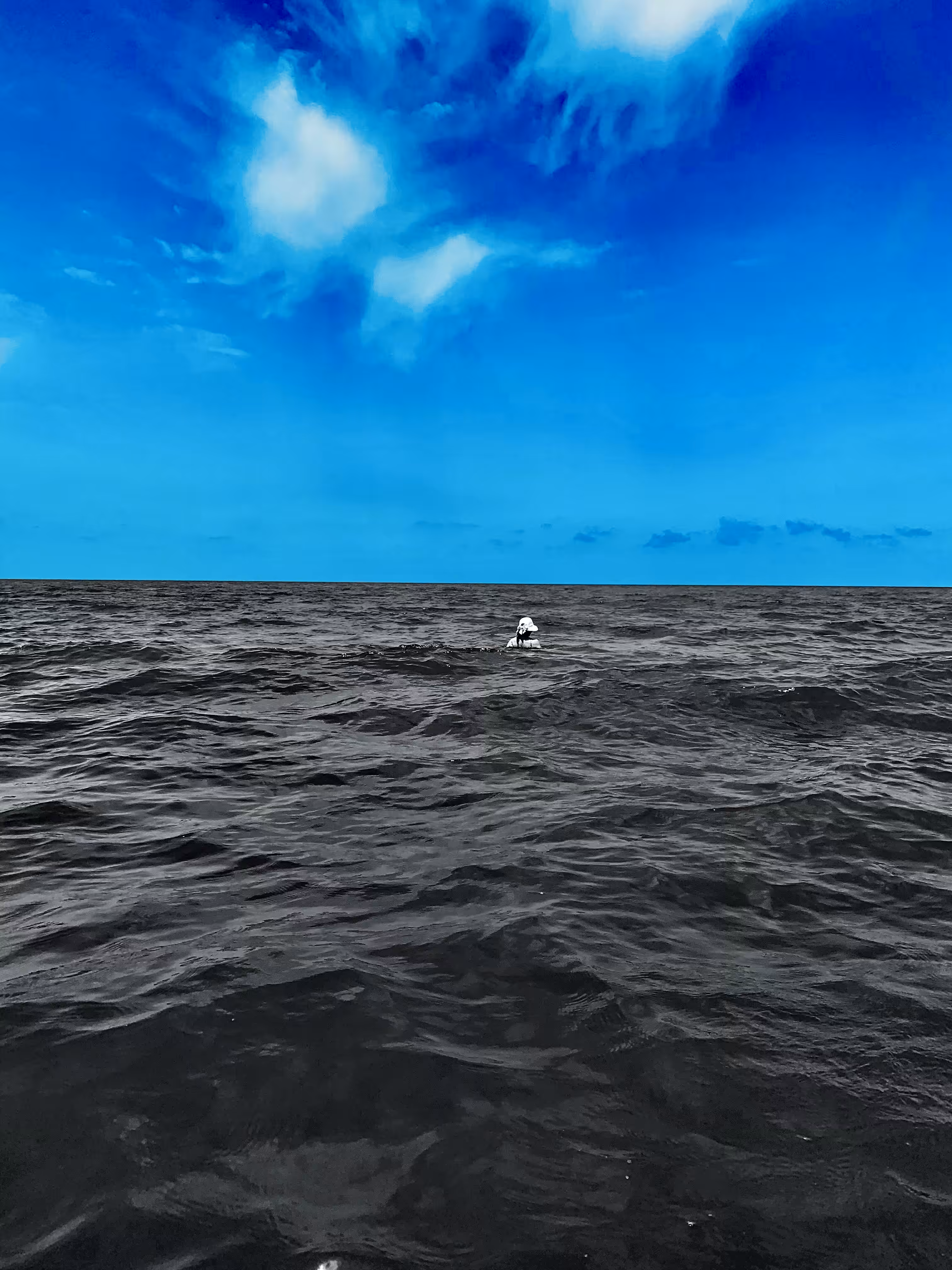 Between the Endless Silence