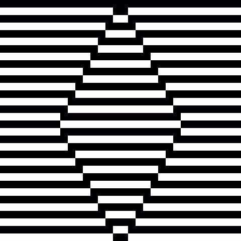 Illusion #2