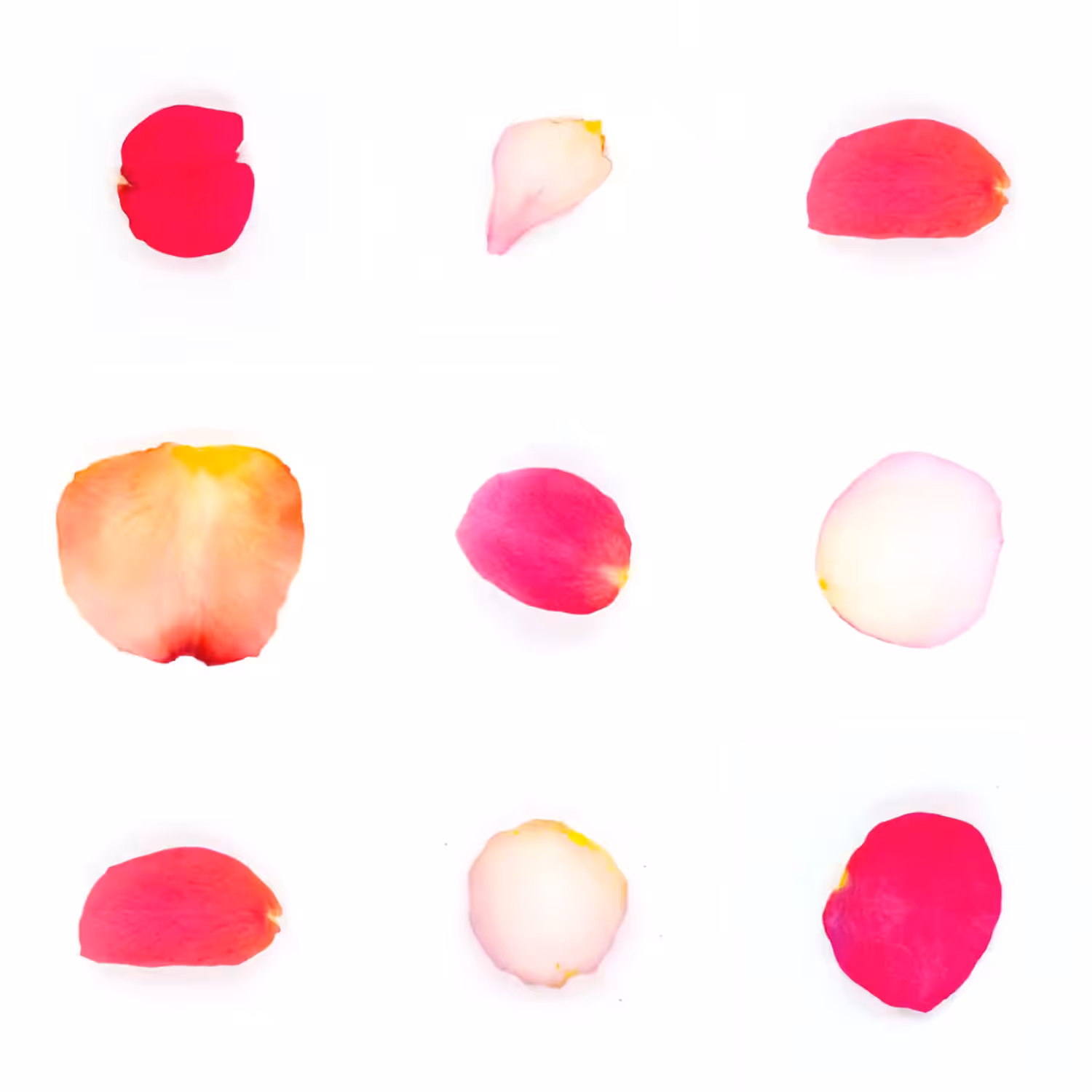 Infinite Petals 3x3#3564