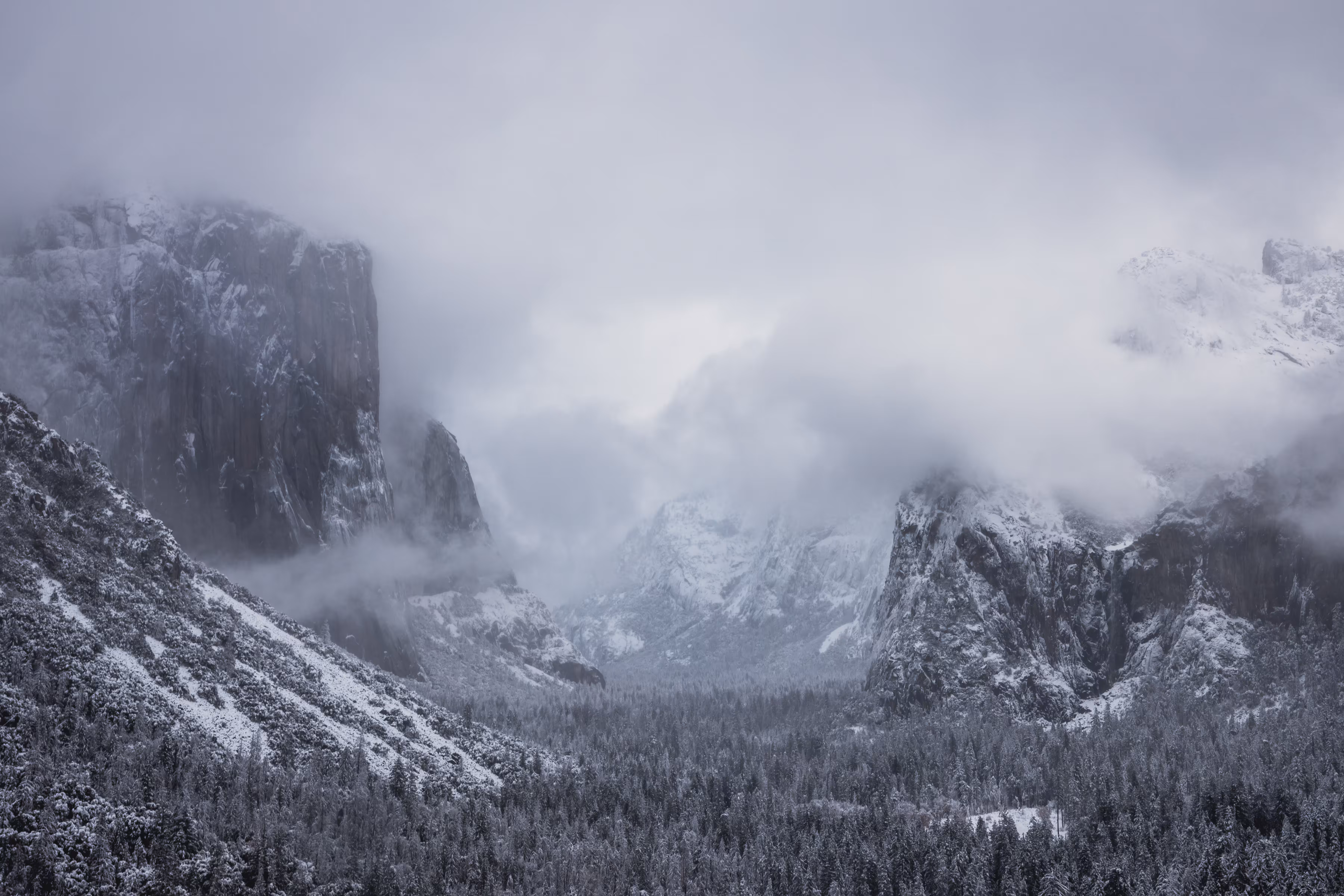 Snowsemite 2