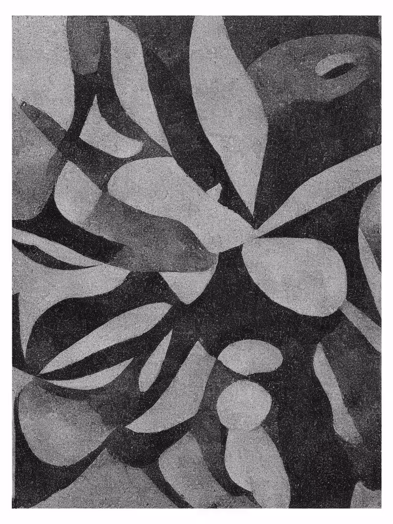Found Images II #4
