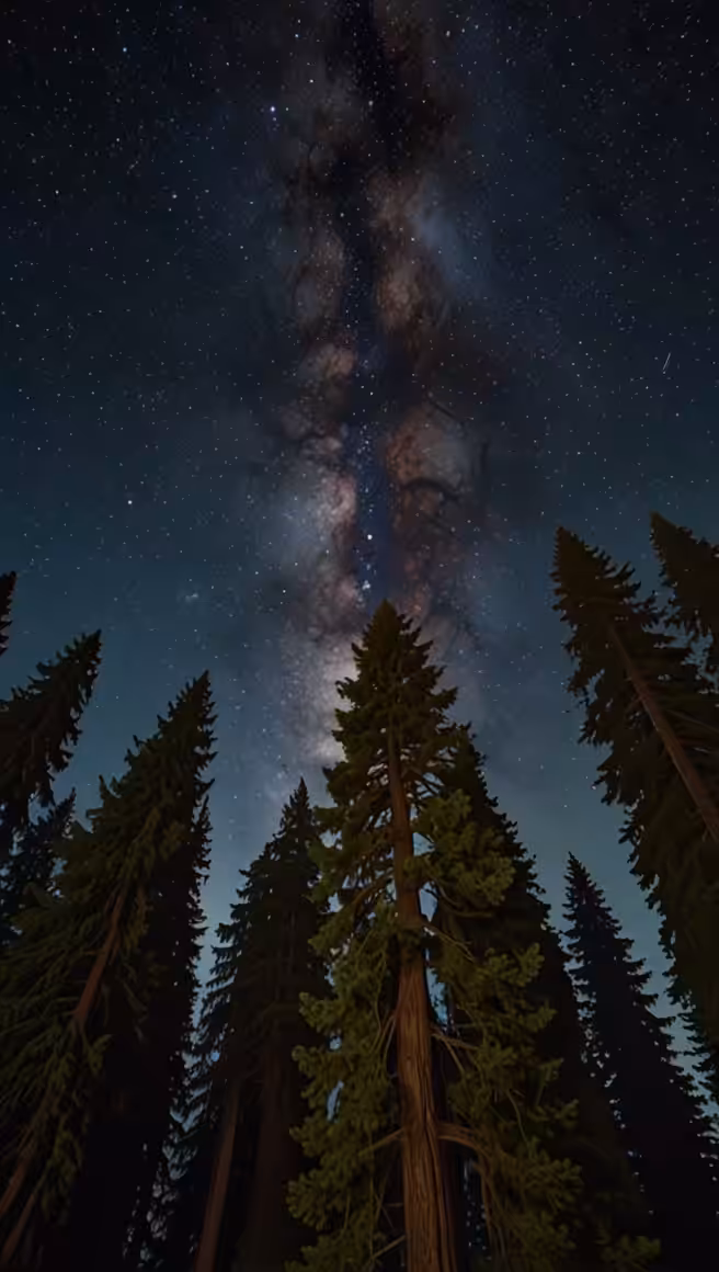 Starry night