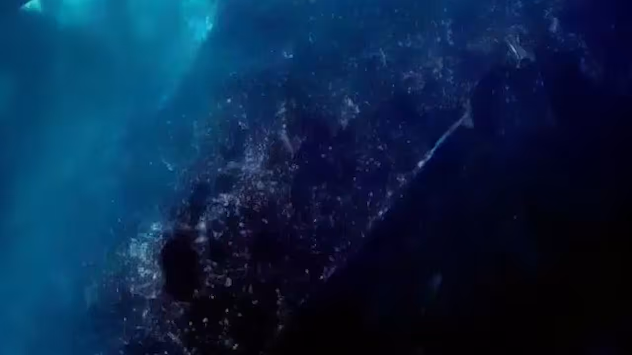 Crashing
