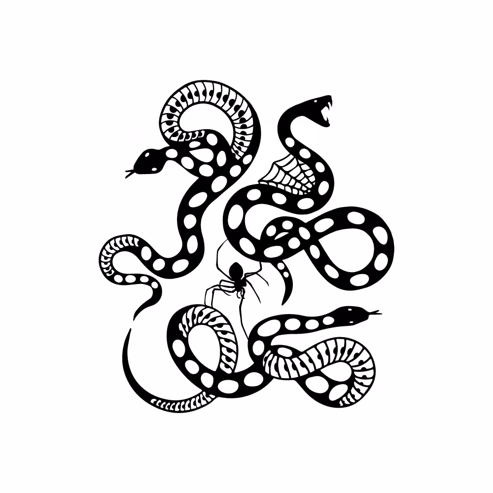 THREE SNAKES IN A BOAT (TO SAY NOTHING OF THE SPIDER)