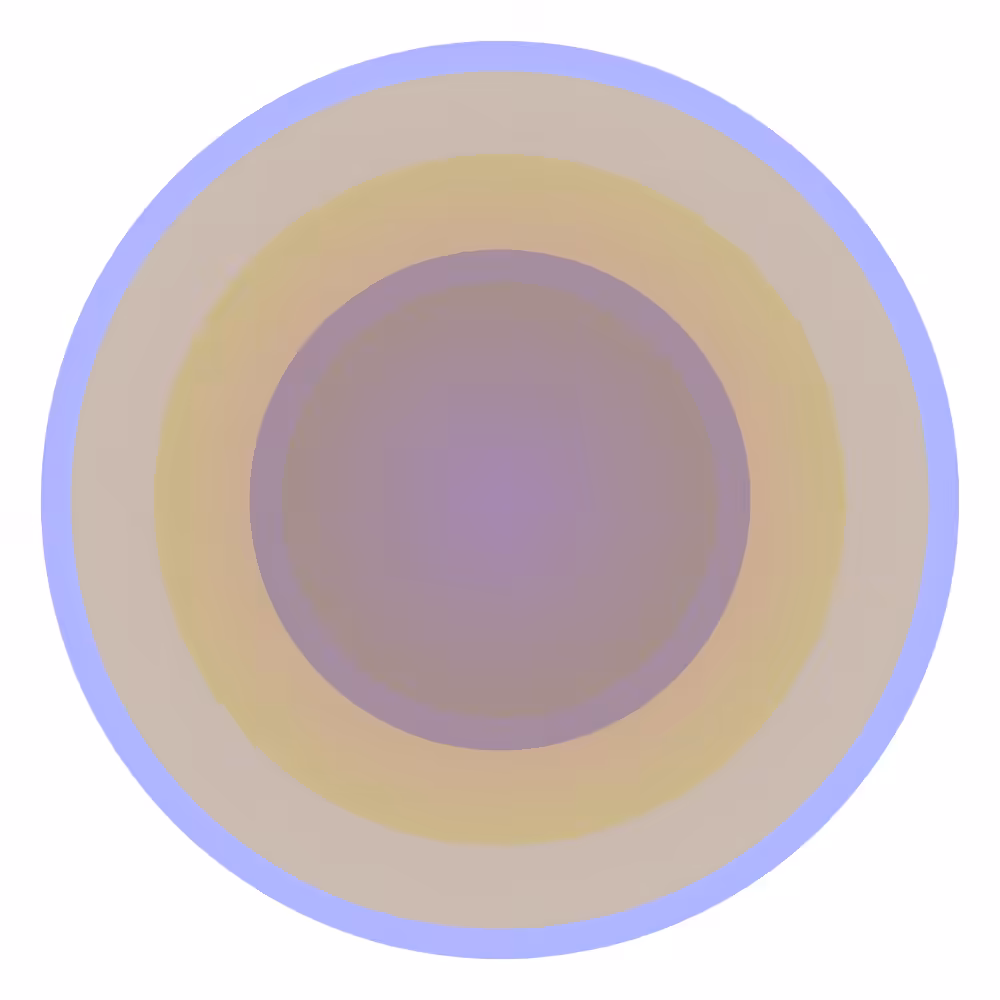 disk (019) #1