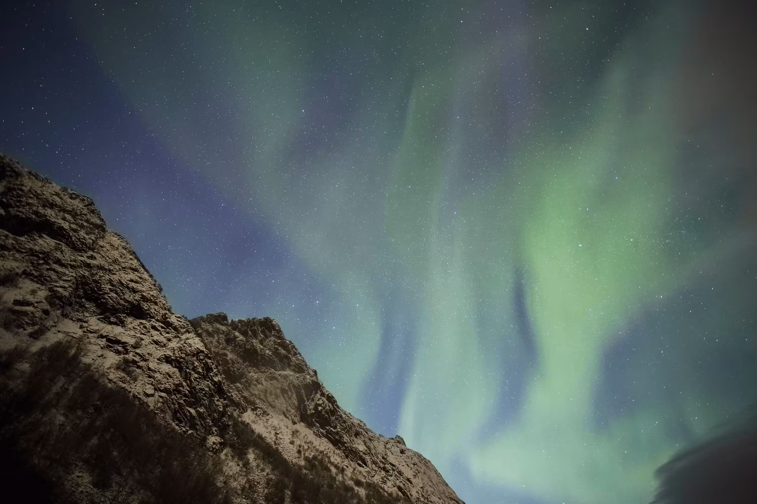 #20 Aurora Pheonix.