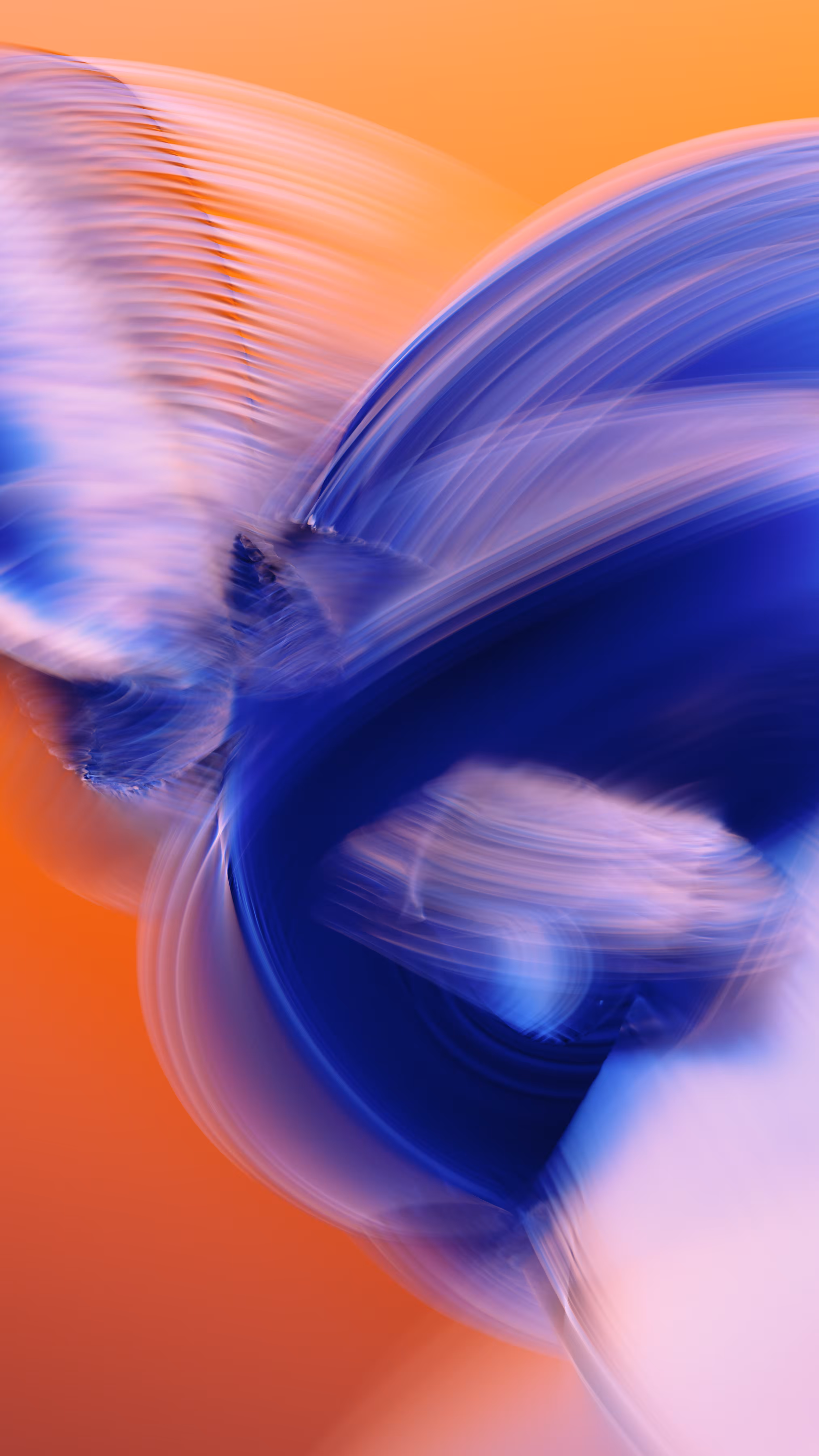 Momentum #161