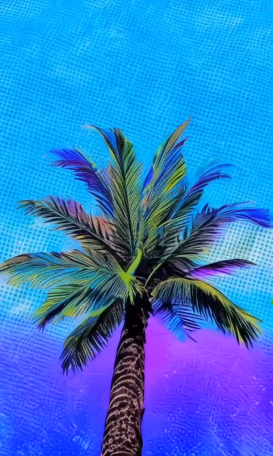 PALM$. 🌴🌴🌴 Tale of Dreams and Reality.: PALM$. Tale of Dreams and Reality. 24/25.