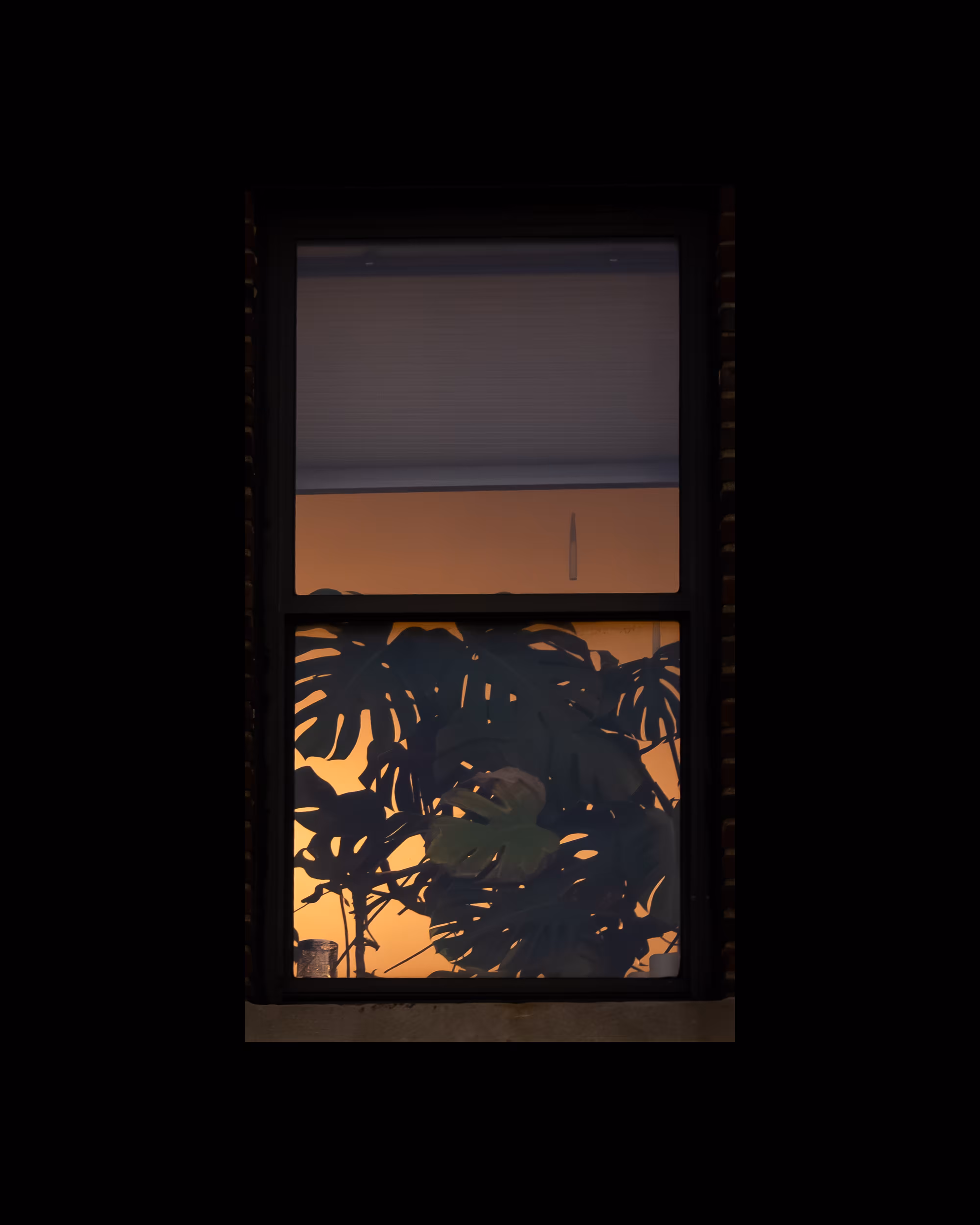 WINDOW 653