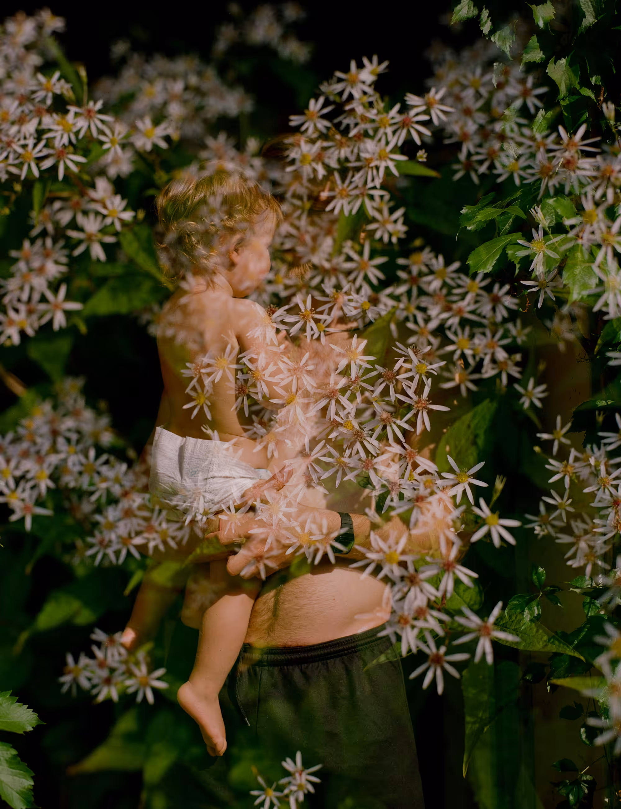 Ode to Spring