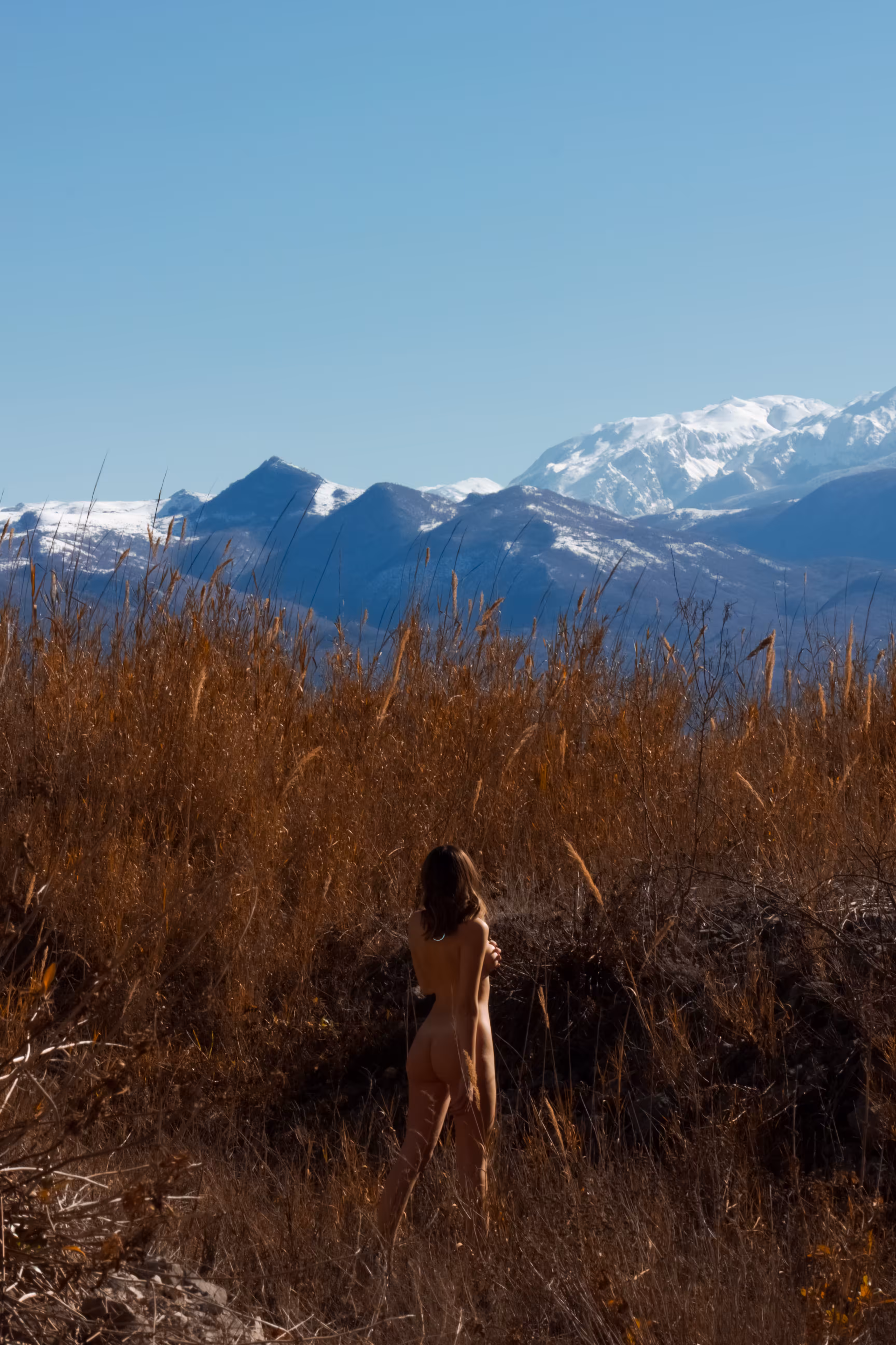 La Belle Verte