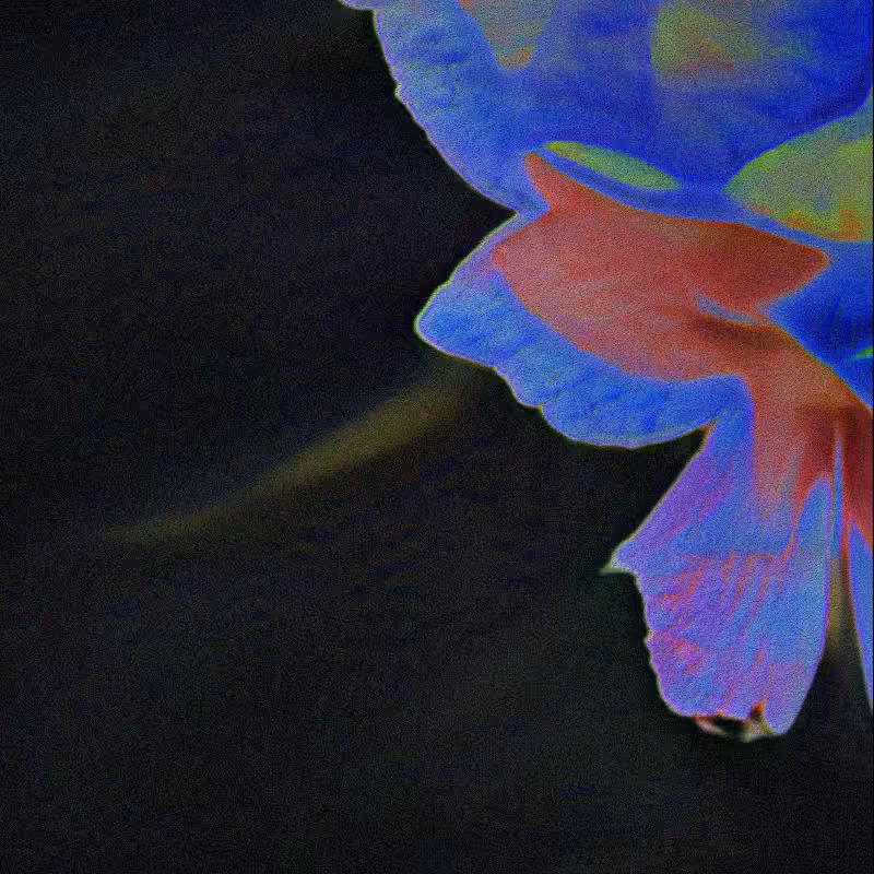 CLDCSMC #2