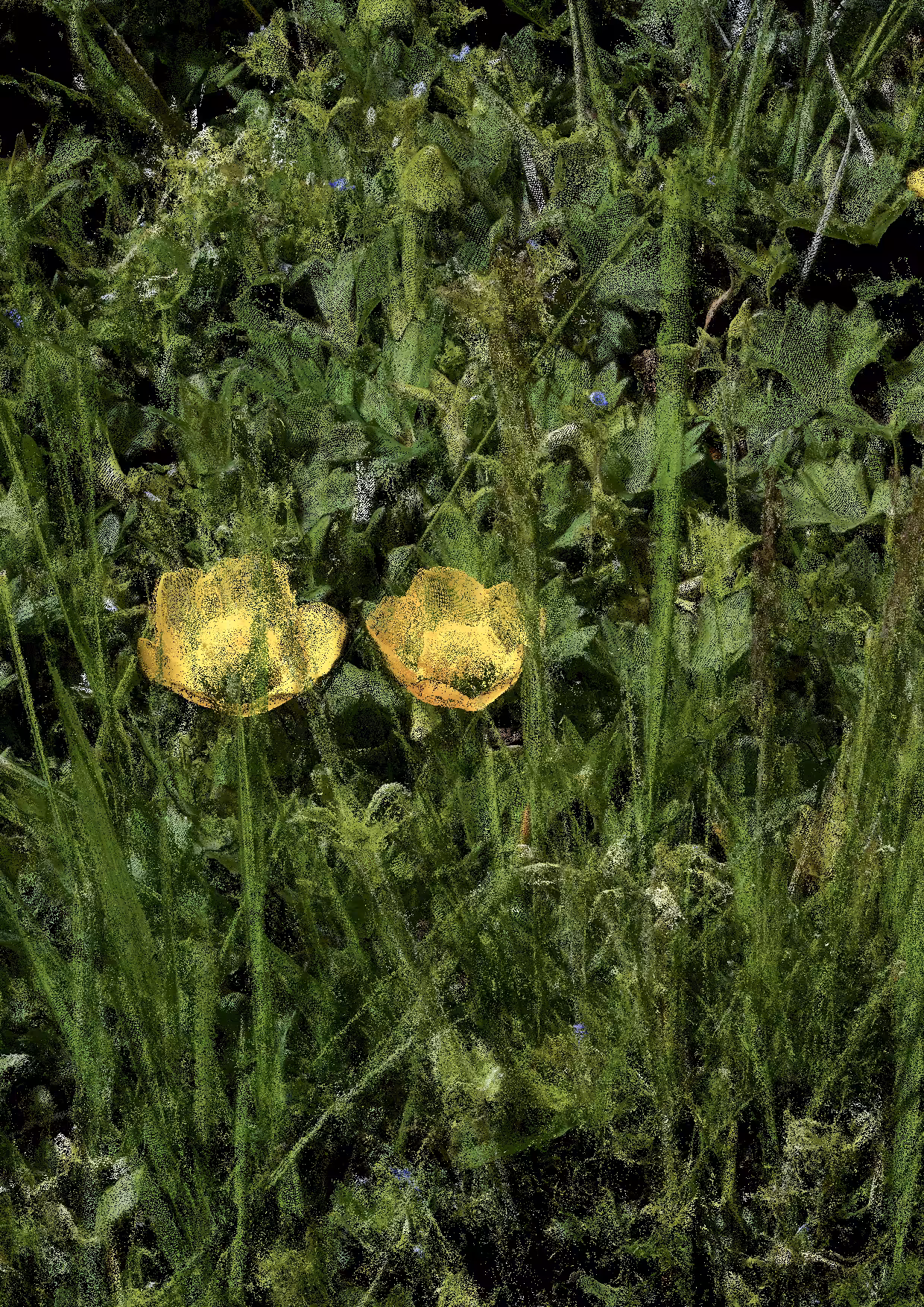 Overgrowth 0345