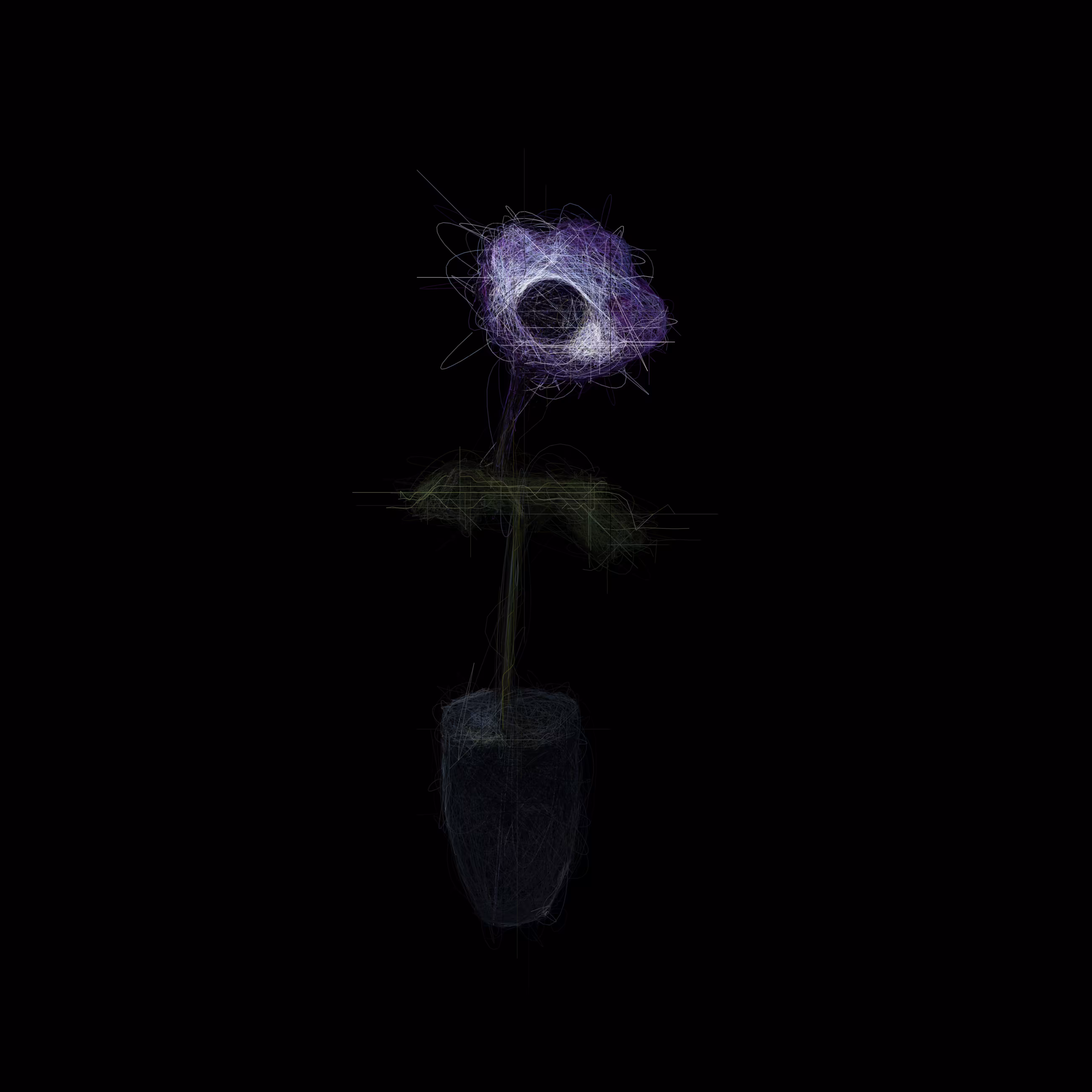  Anemone I