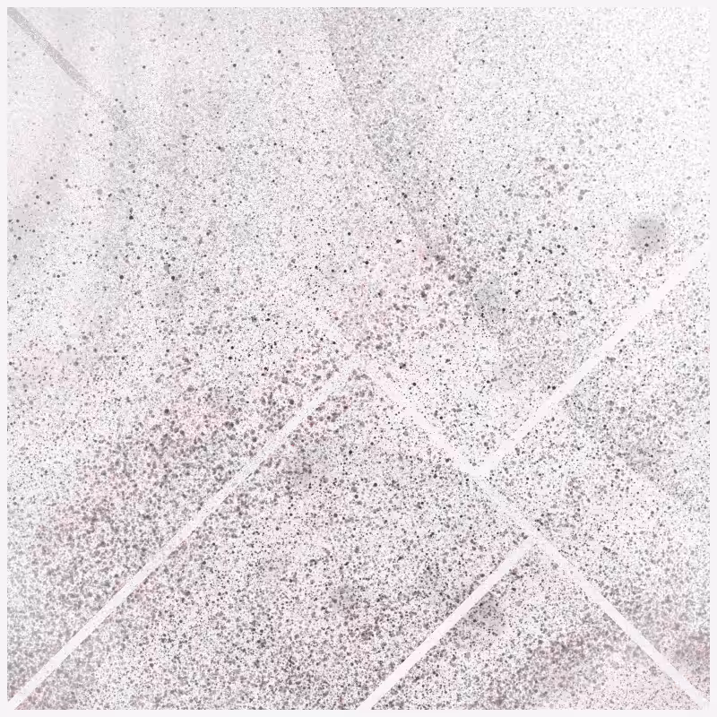Boundary Conditions #102
