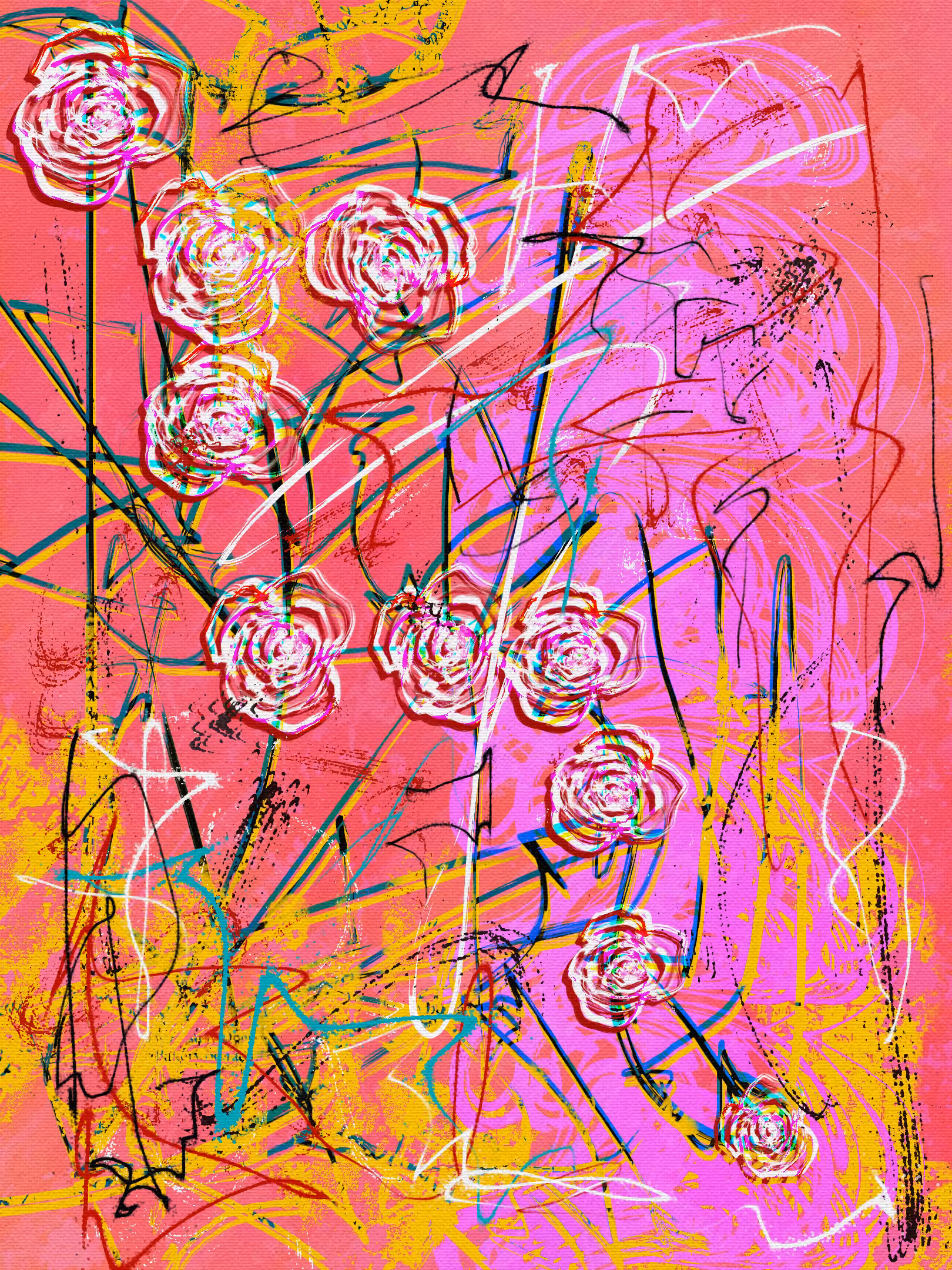 Beautiful Roses 