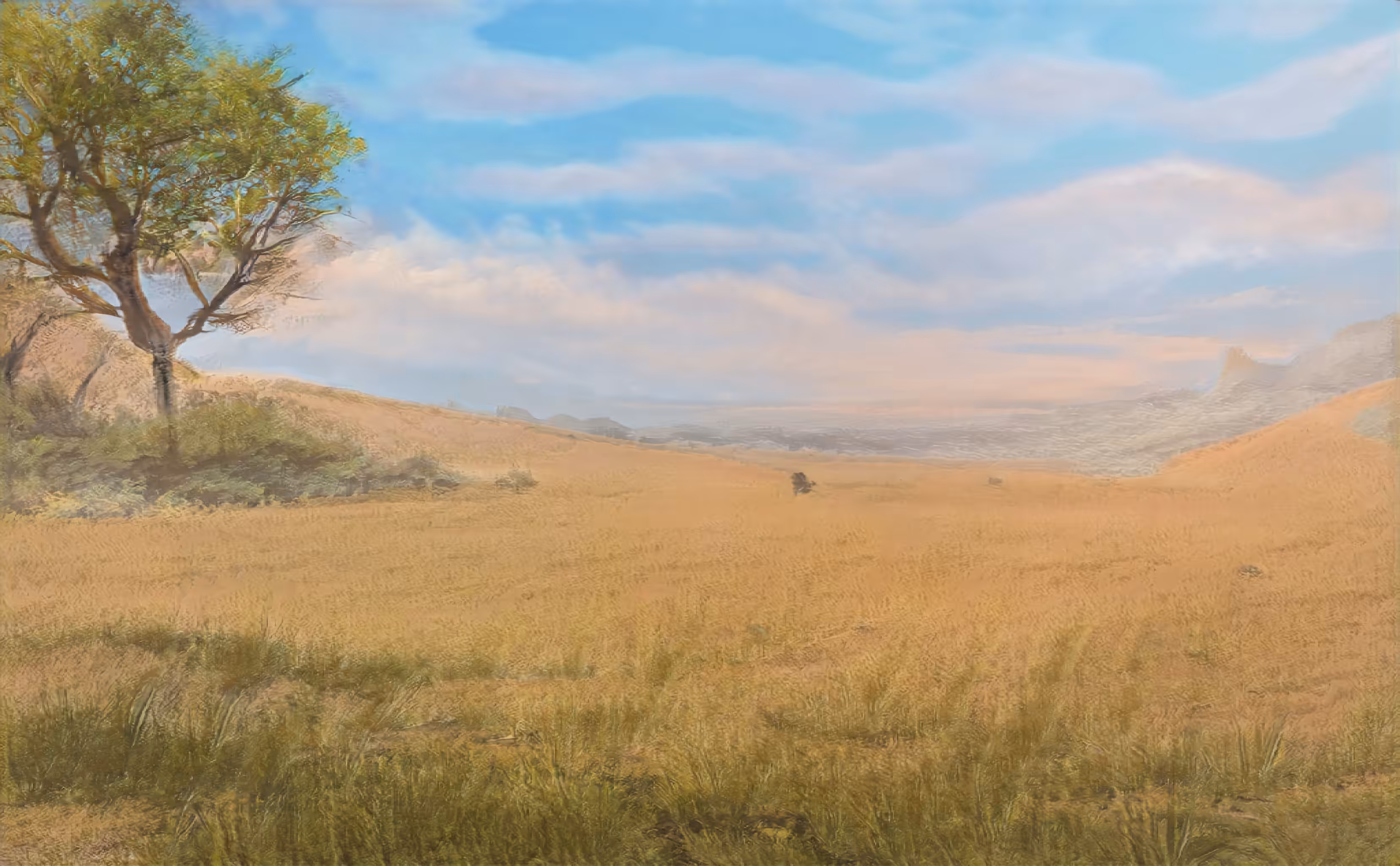 Great Summer Meadow