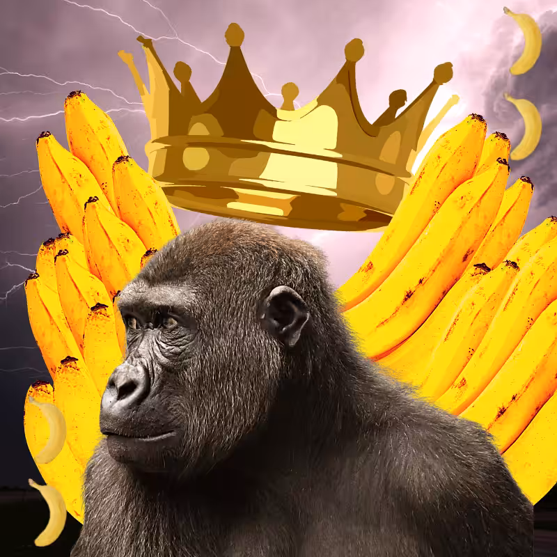 Banana gods #48
