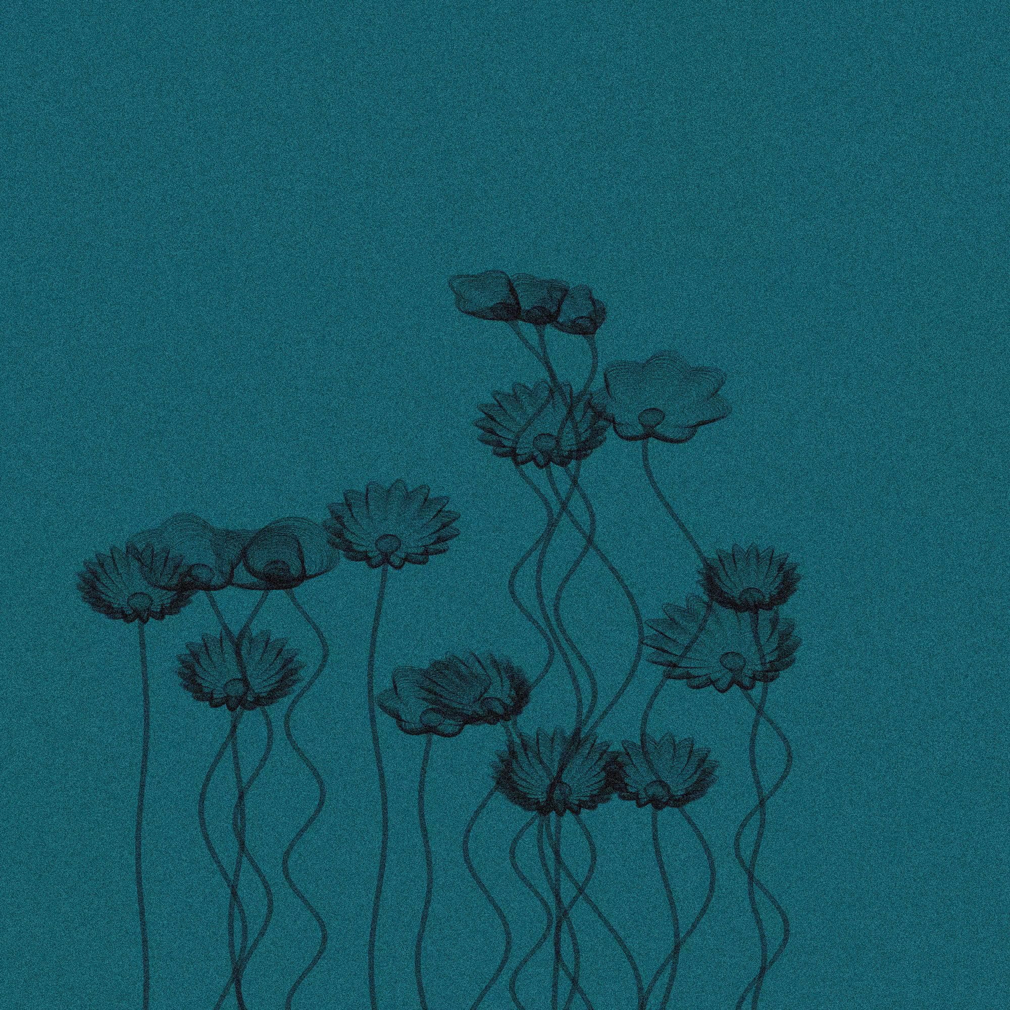 Code Flowers #53