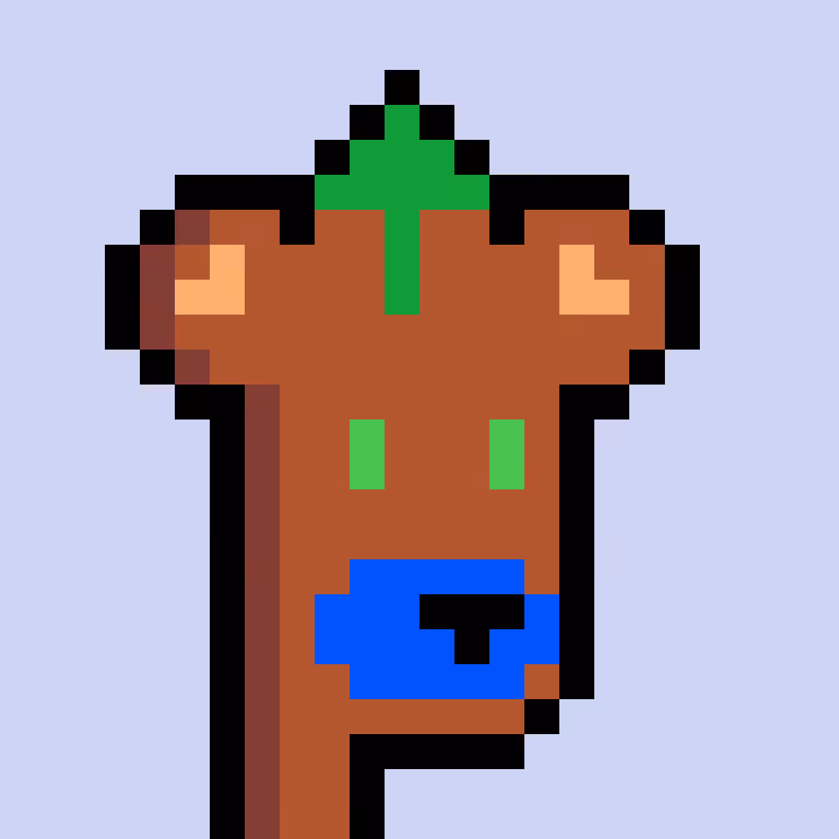 BearPunks #1255