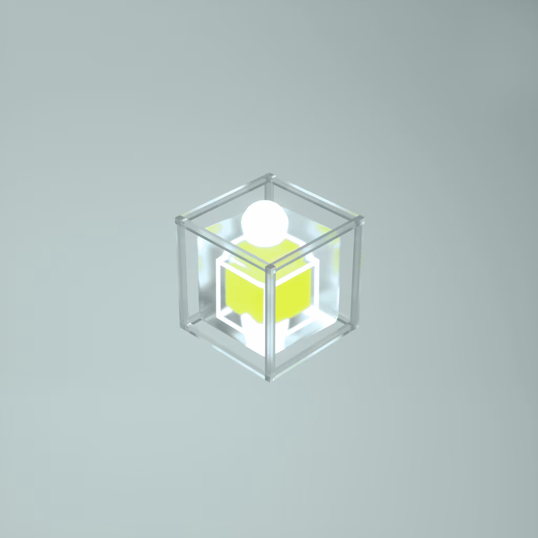Shapes & Wraps - 25
