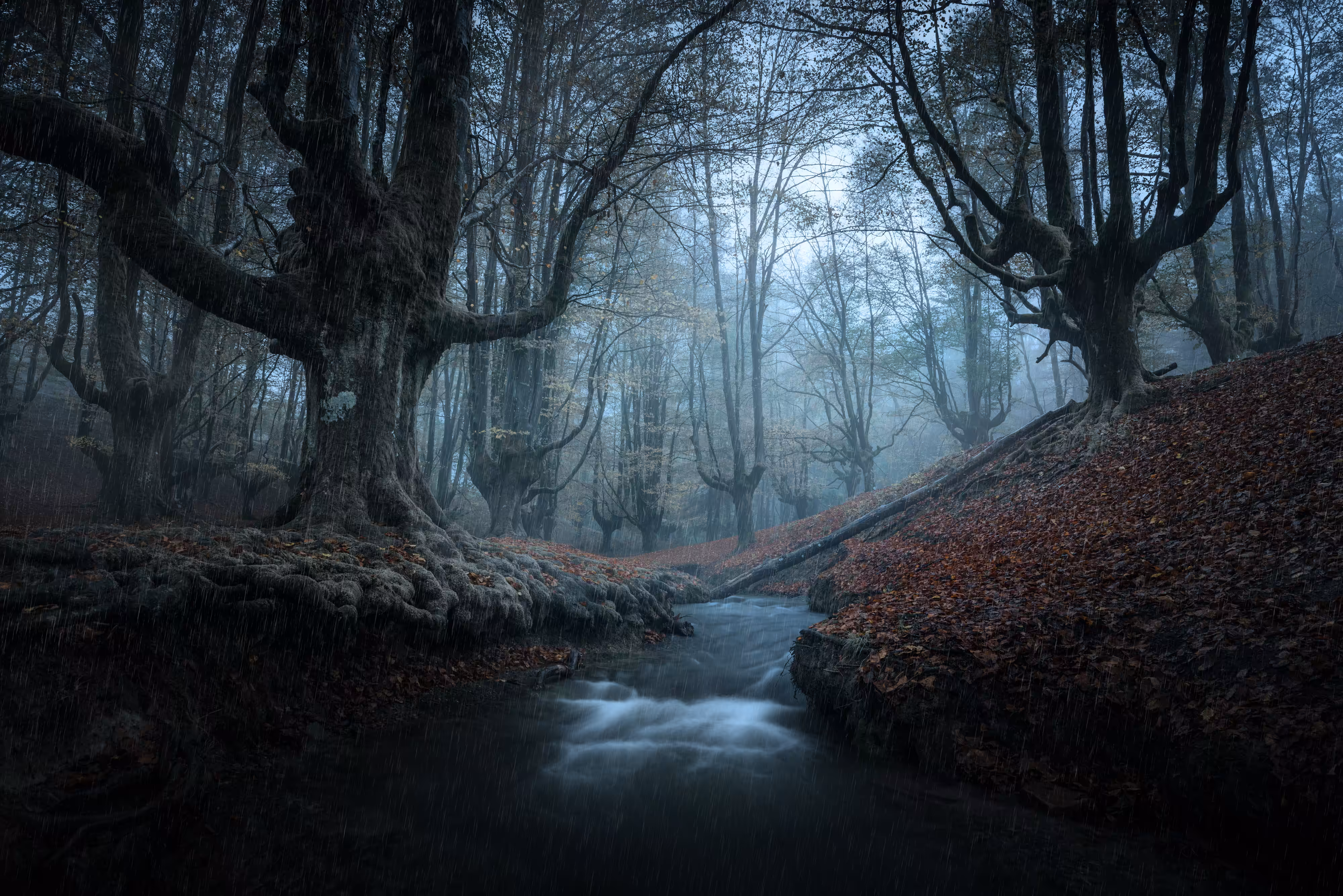 Where Ghosts Sleep